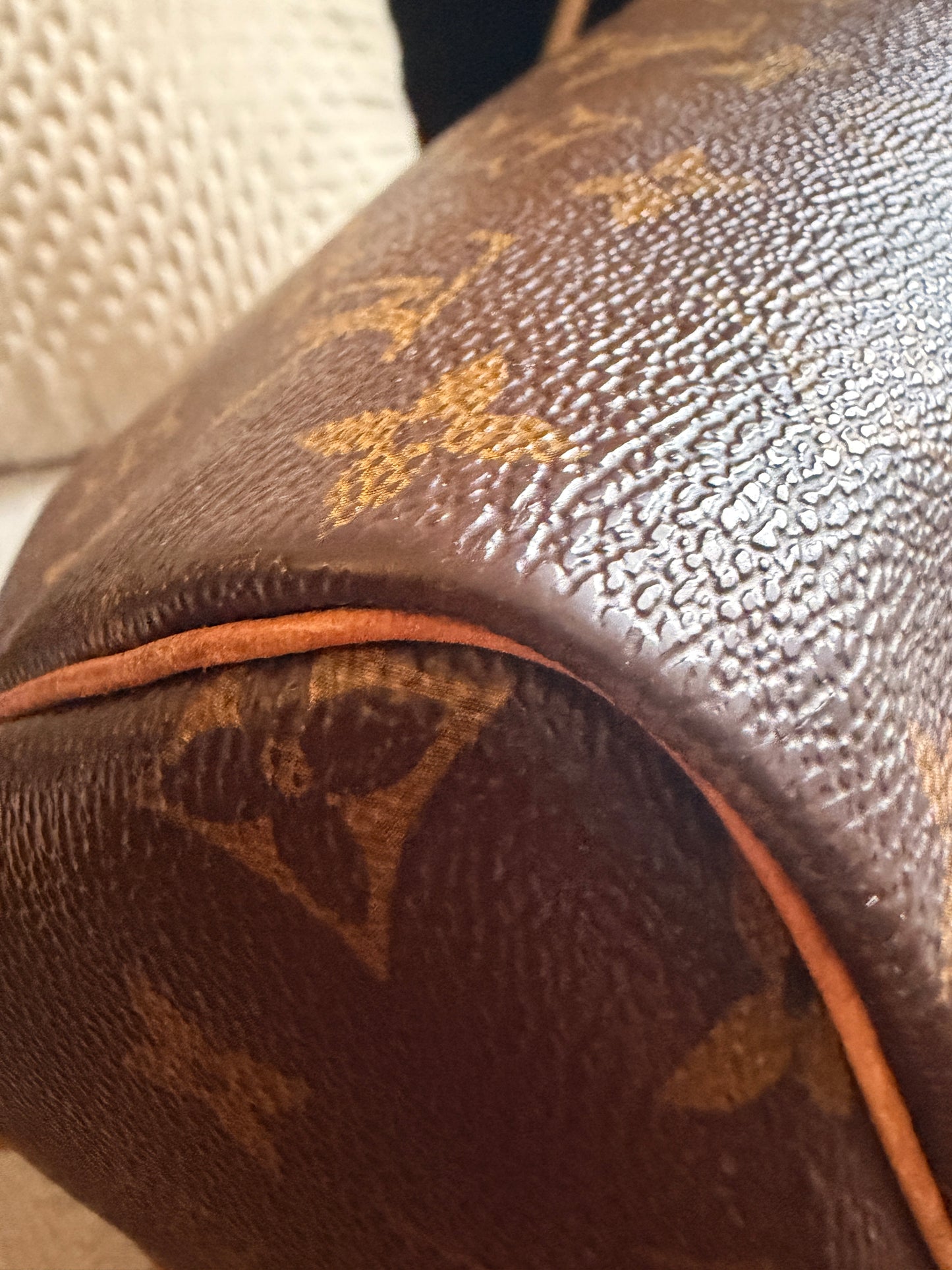 Louis Vuitton Speedy B30 in Monogram