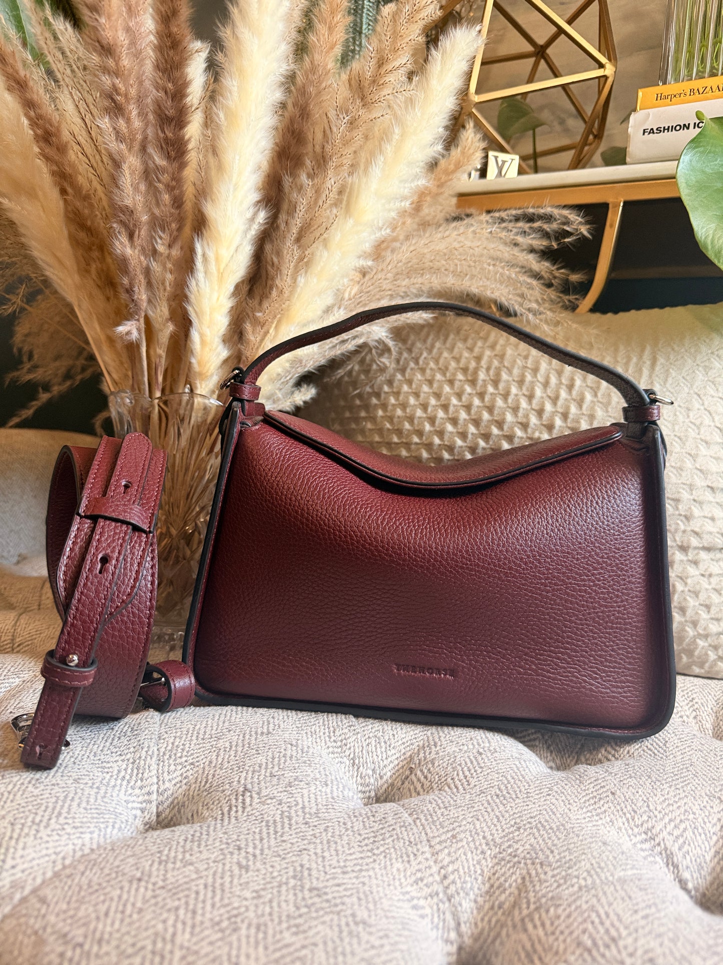 The Horse Clementine in Burgundy