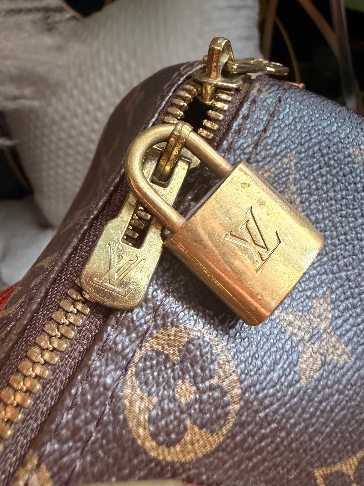 Louis Vuitton Speedy 30 Bandouliere in Monogram