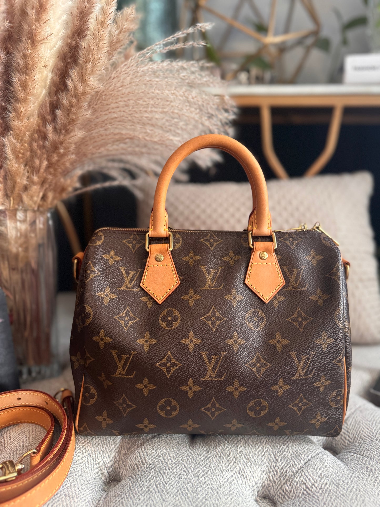 Louis Vuitton Speedy B 25 in monogram