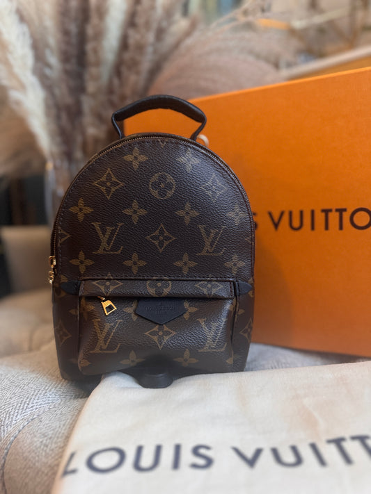 Louis Vuitton Mini Palm Springs-New Model with exposed zip Microchipped