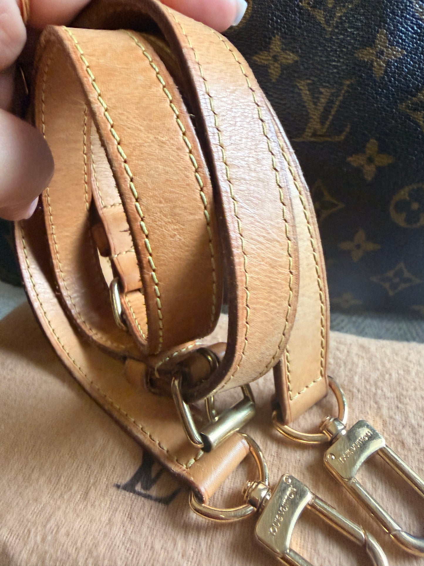 Louis Vuitton Speedy B30 in Monogram