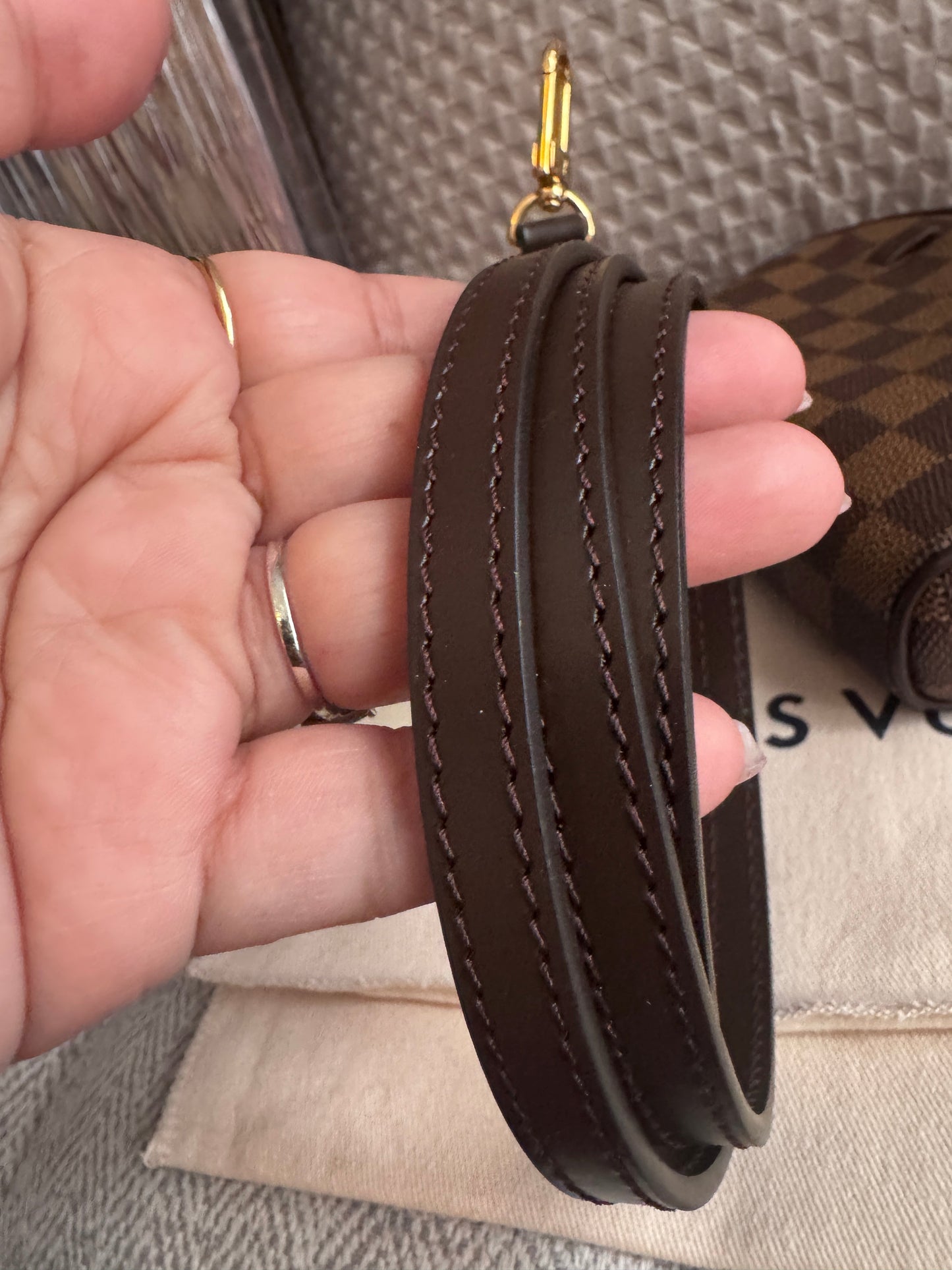 Louis Vuitton Damier Ebene Ipanema Pouch