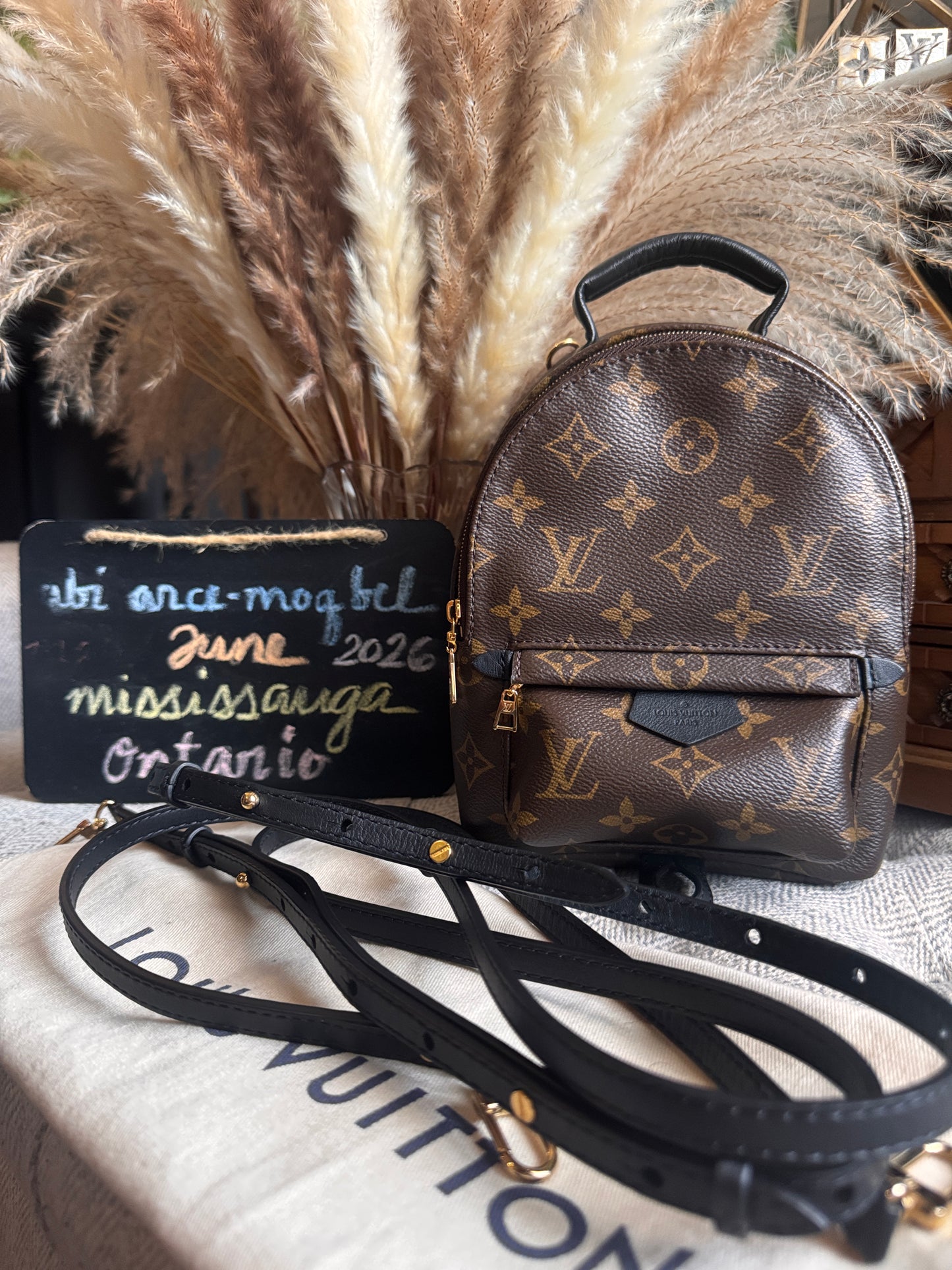 Louis Vuitton Palm Springs Mini-New Version