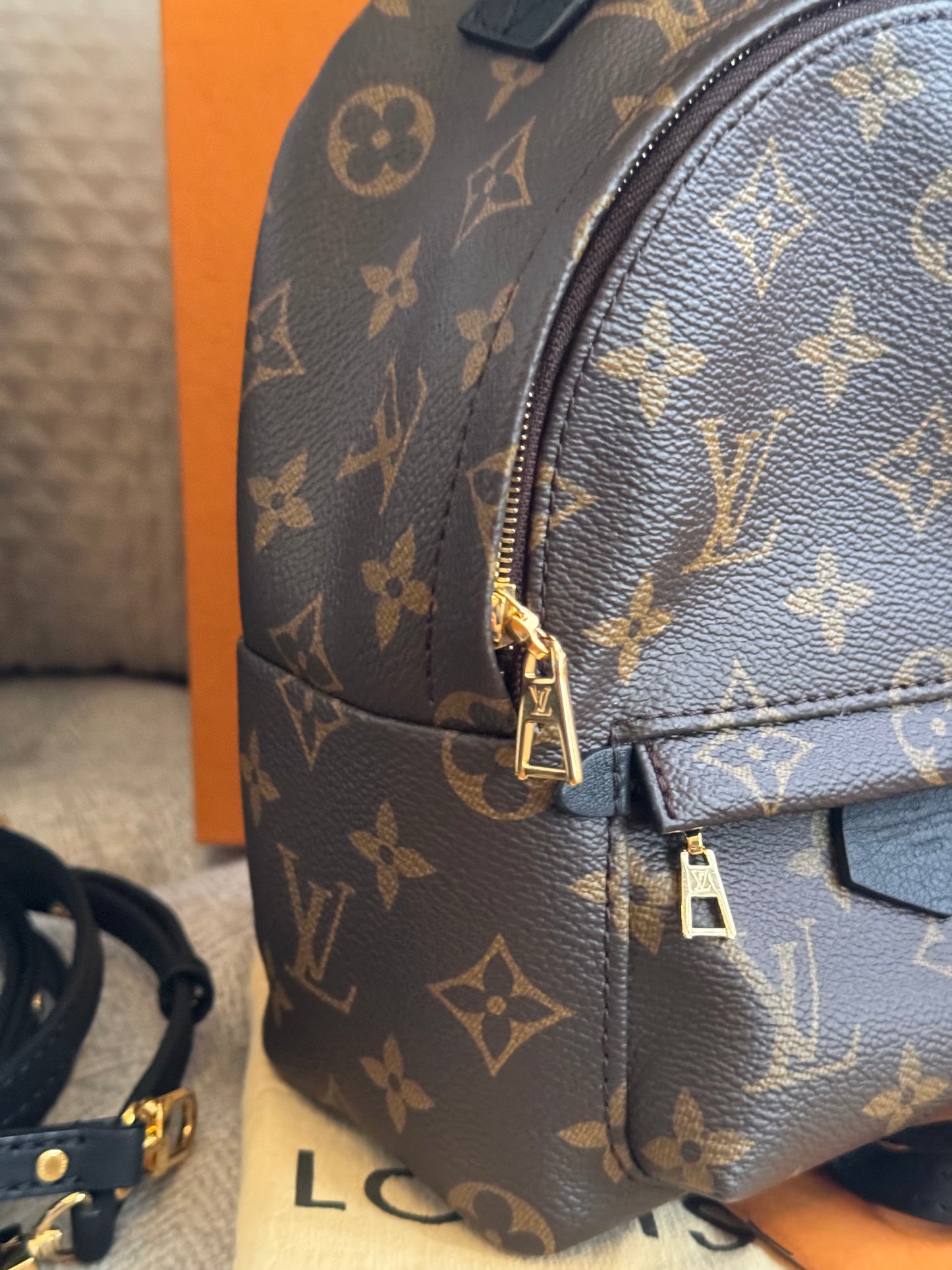 Louis Vuitton Palm Springs Mini