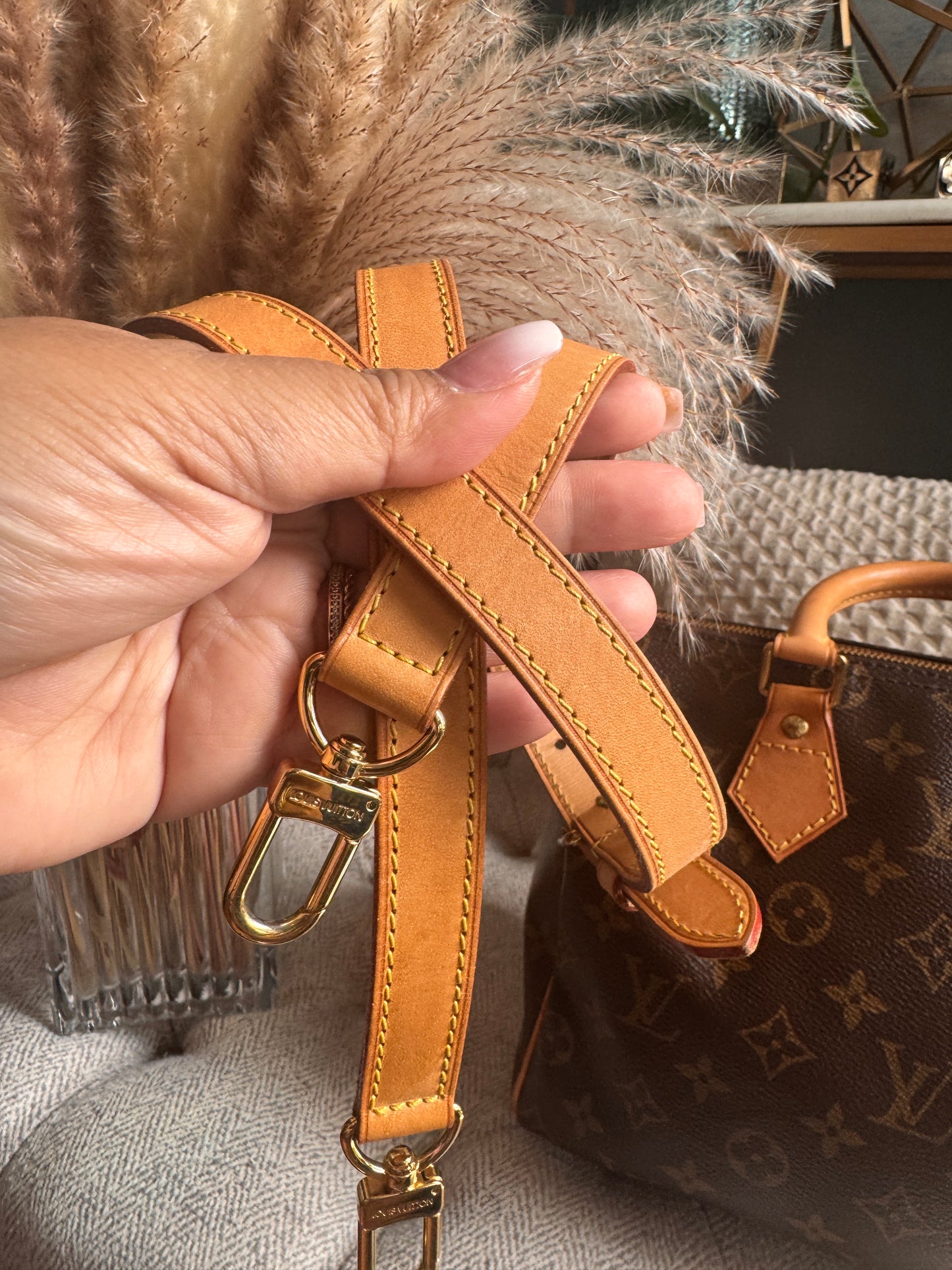 Louis Vuitton Speedy B 25 in monogram