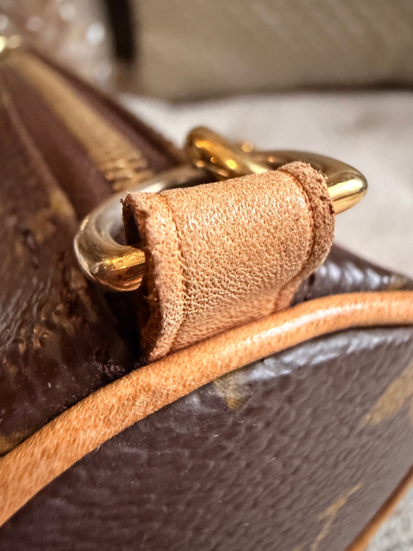 Louis Vuitton MINi Papillon