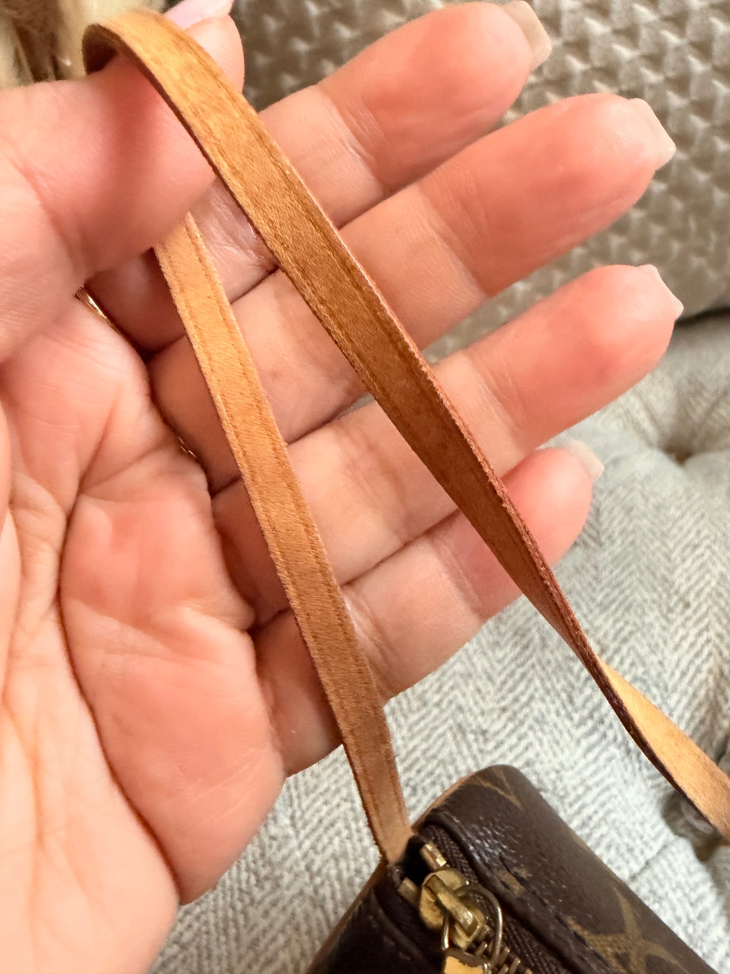 Louis Vuitton MINi Papillon