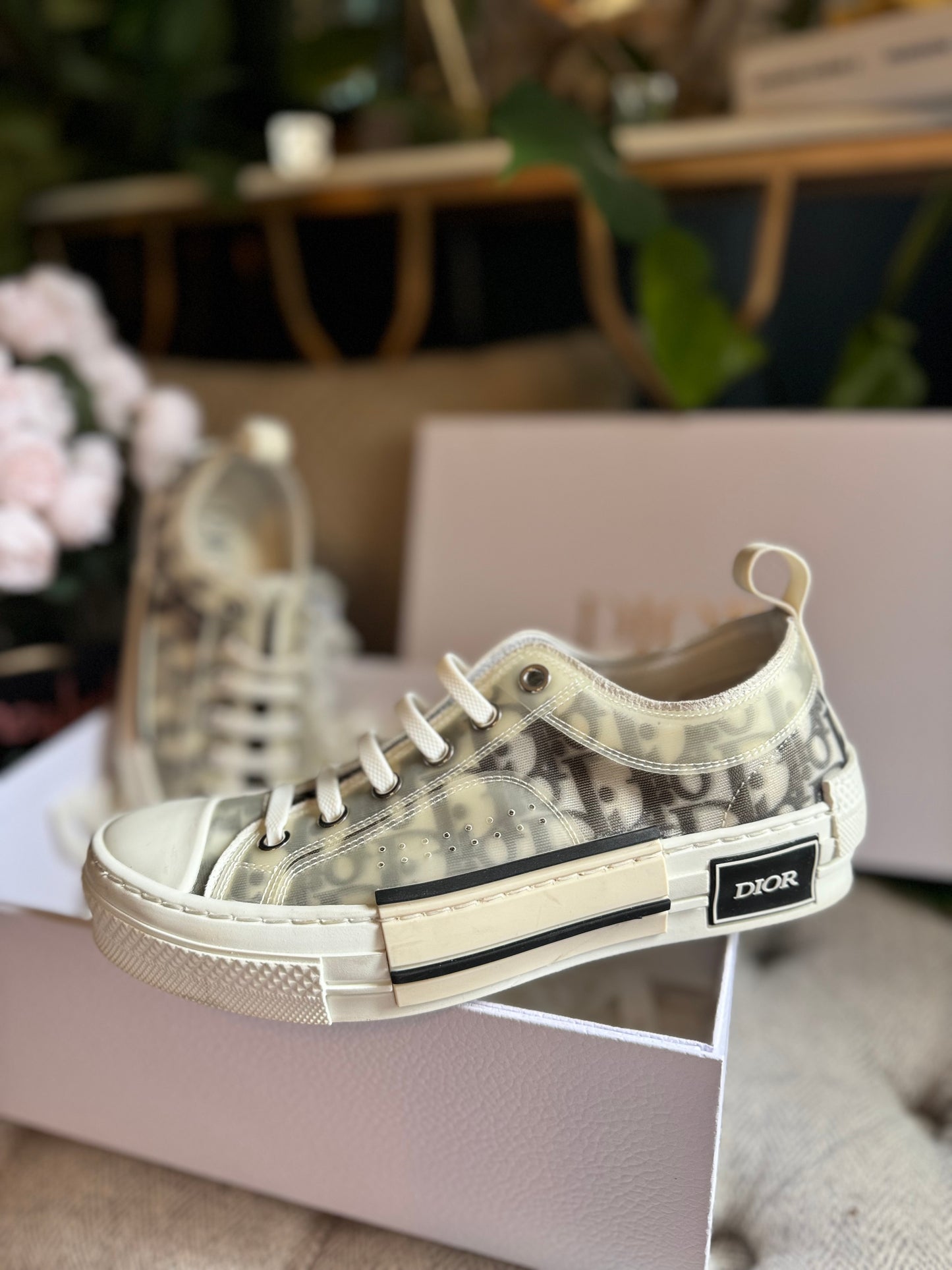 Dior Low-Top B23 Sneakers