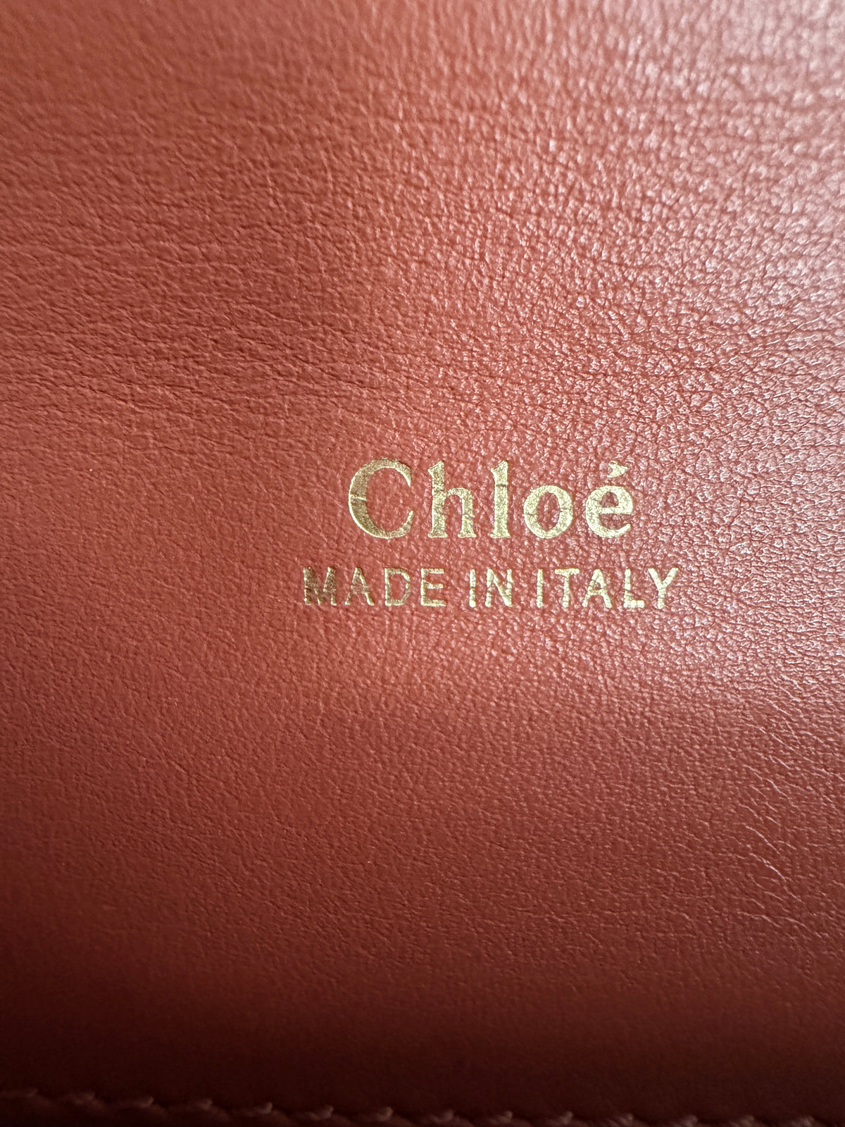 Chloe Aby Chain Bag -Croc Embossed