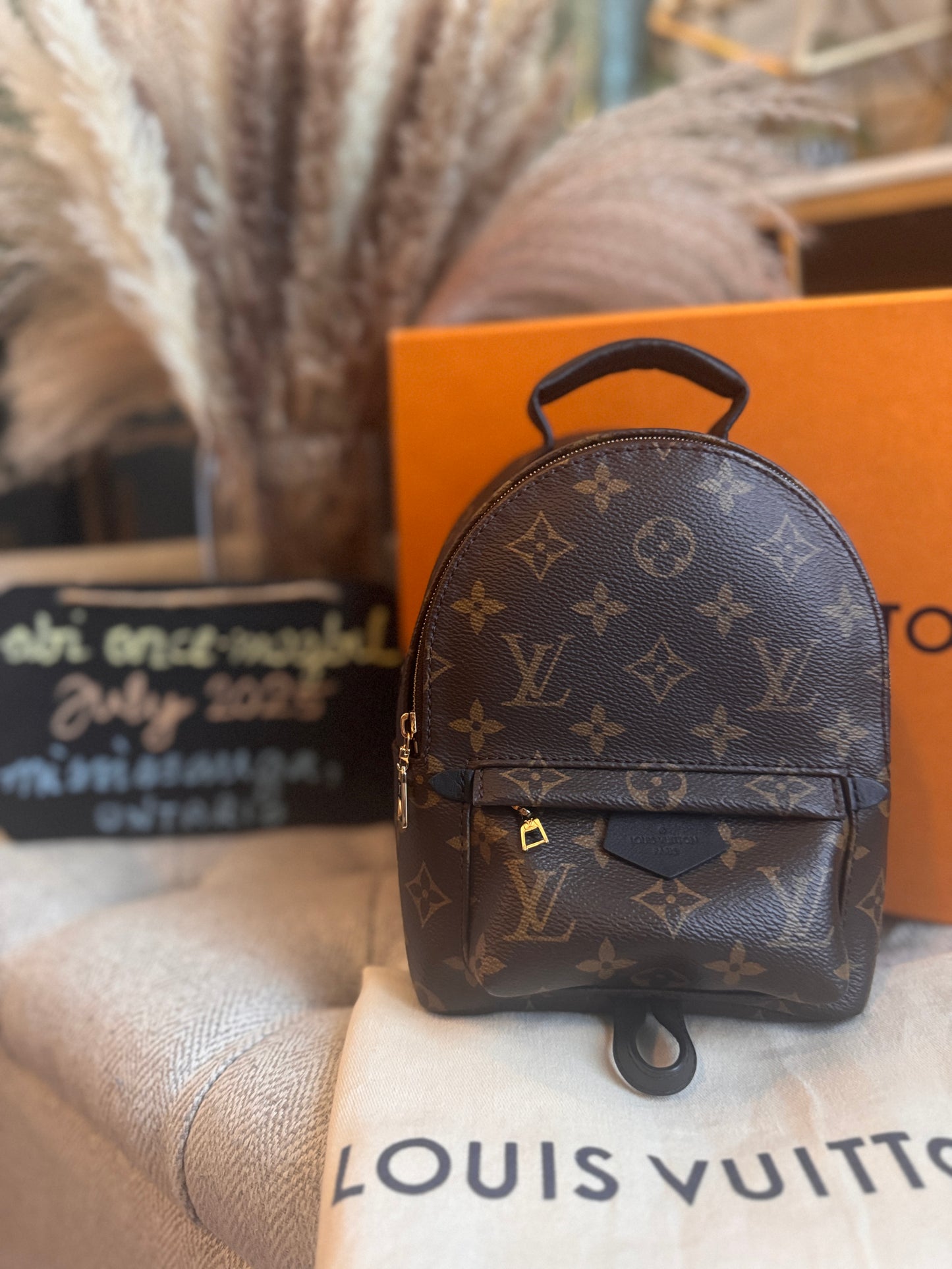 Louis Vuitton Mini Palm Springs-New Model with exposed zip Microchipped