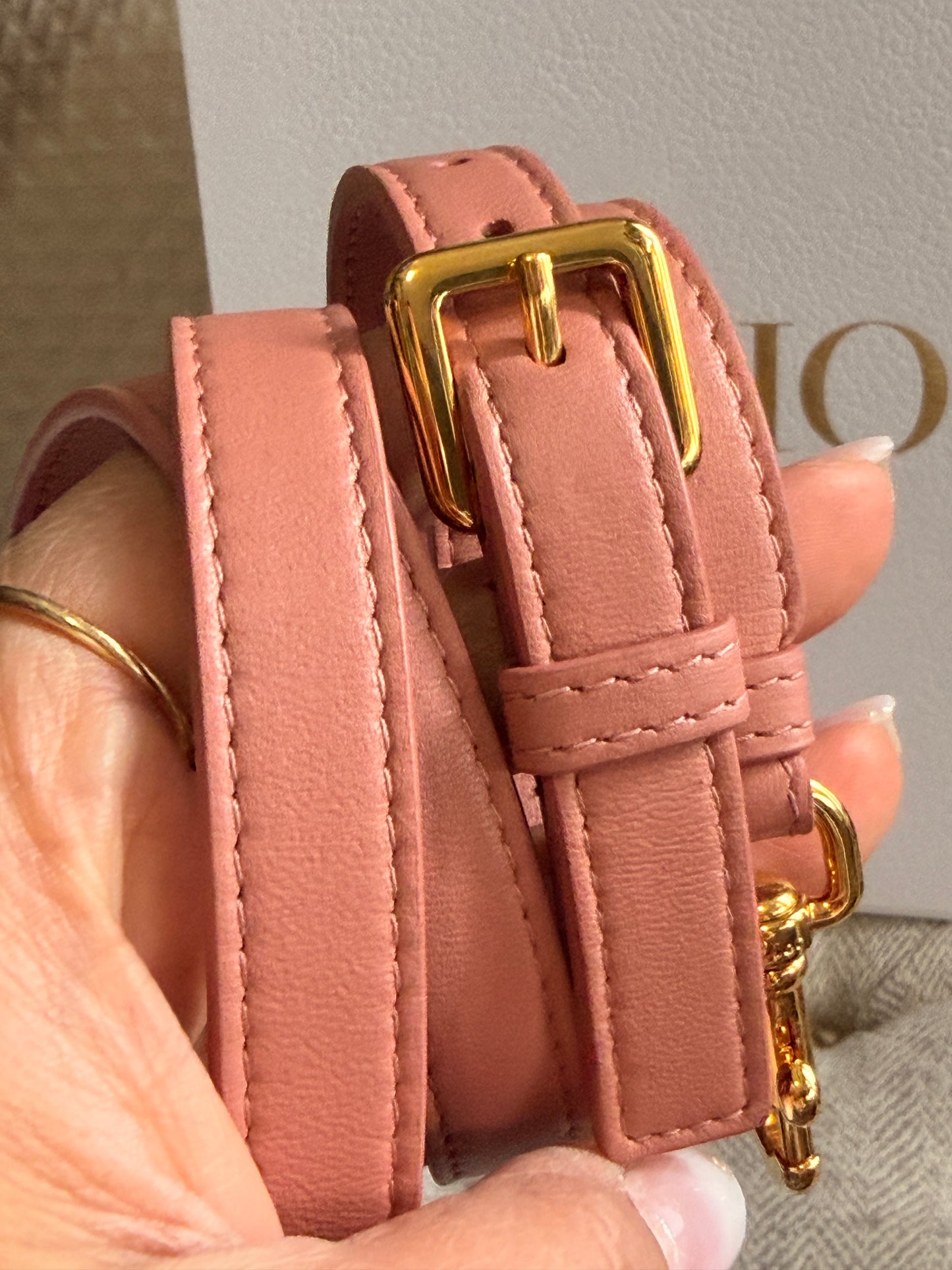 Christian Dior Lambskin Cannage Small Vanity Case