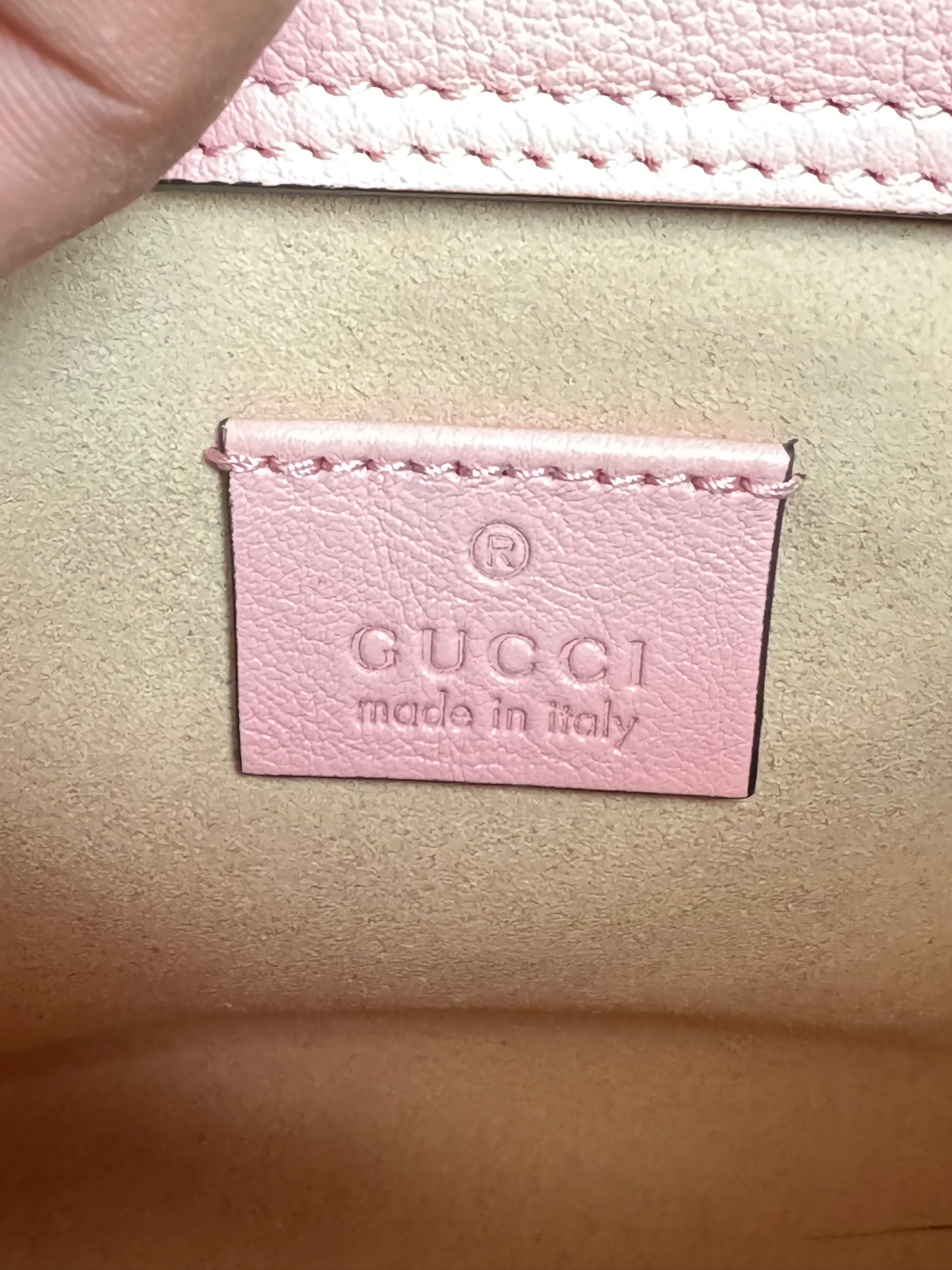 Gucci Mini Diana