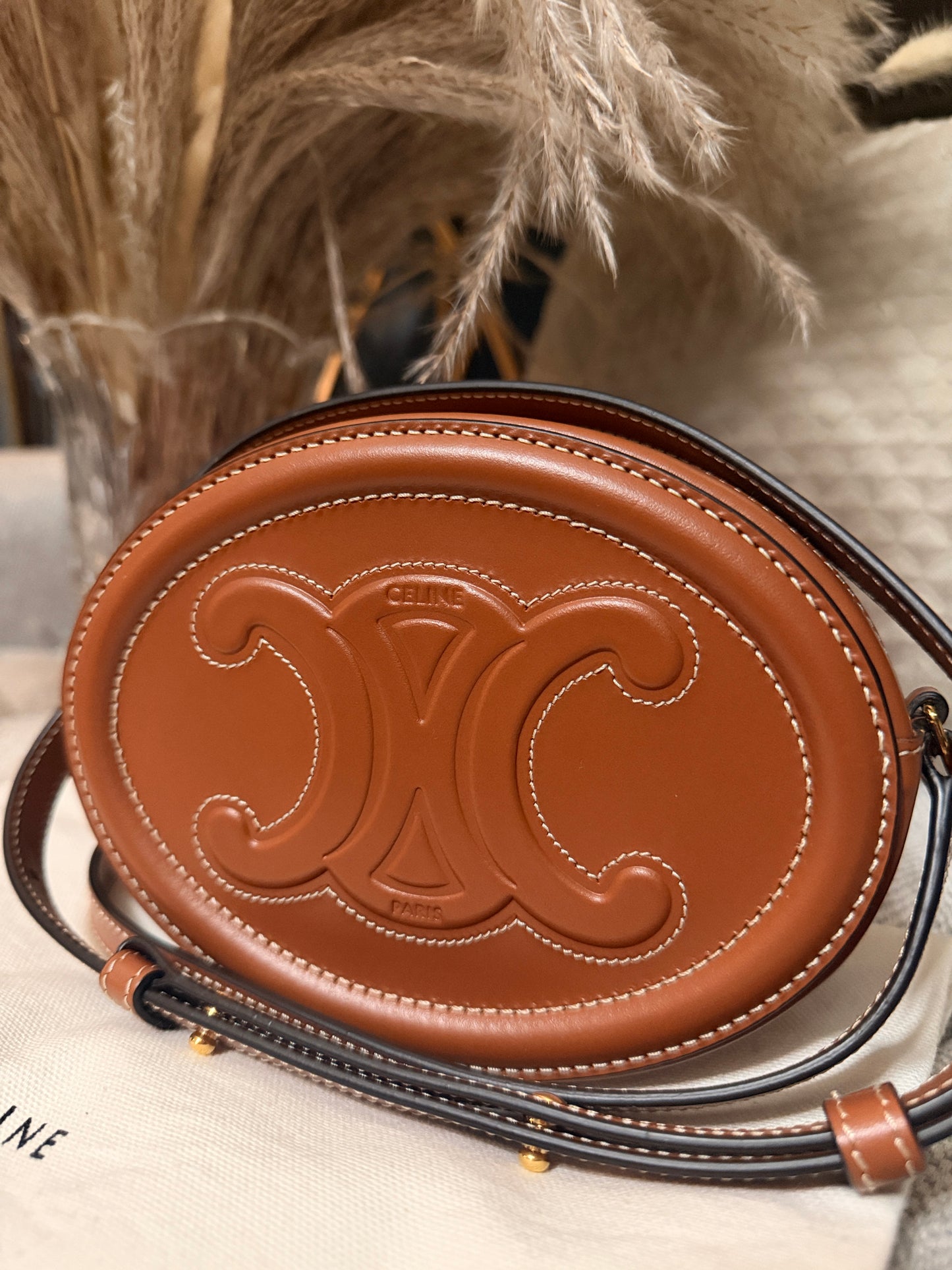 Celine Oval Triomphe Bag in Calfskin