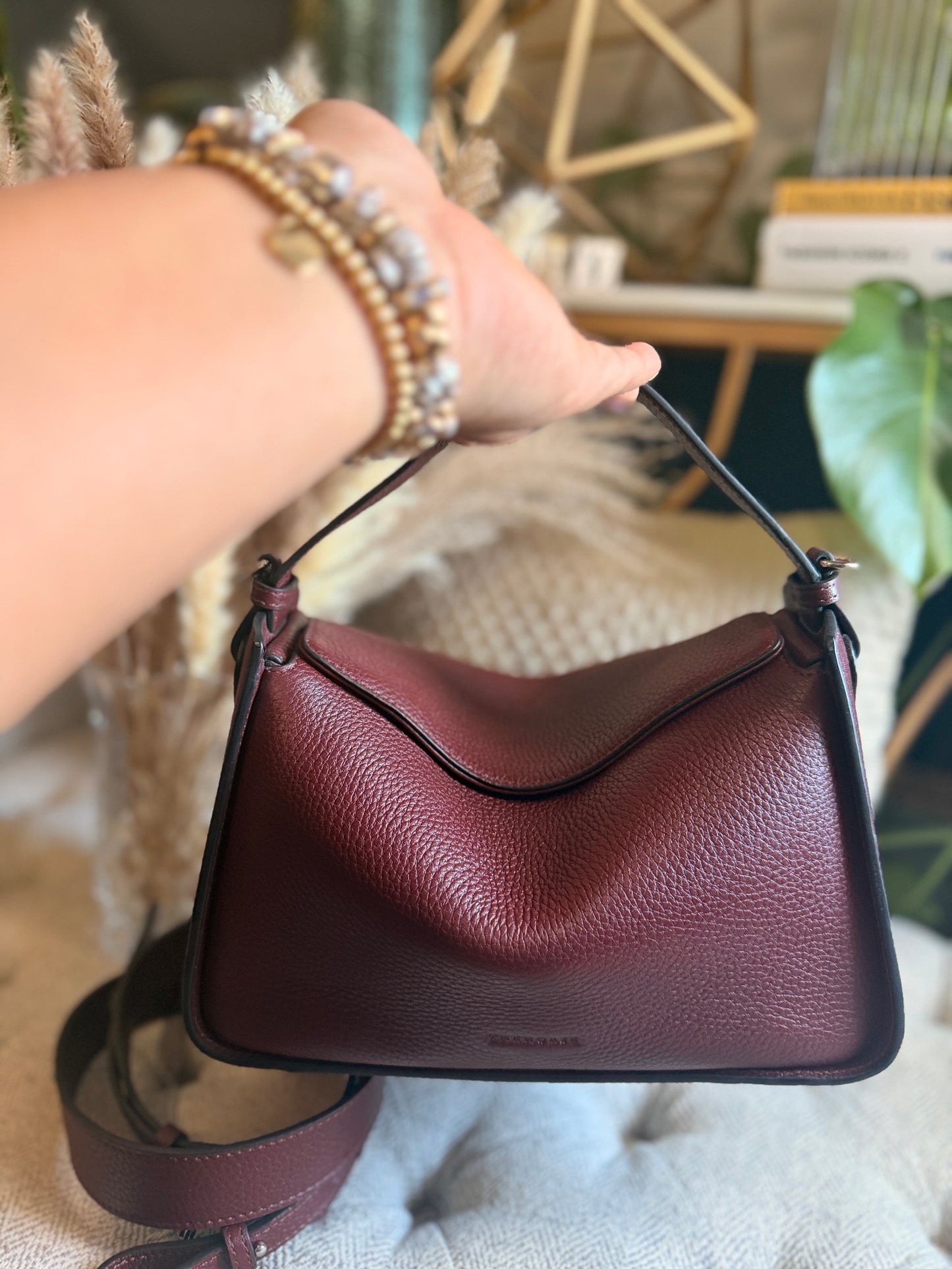 The Horse Clementine in Burgundy