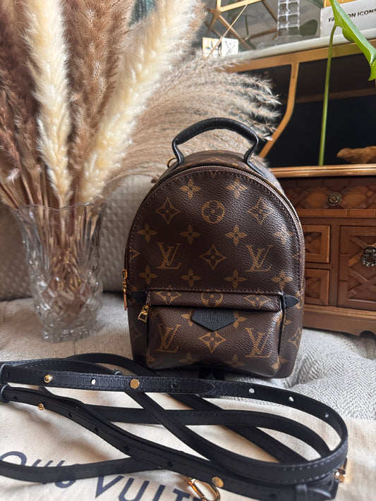 Louis Vuitton Palm Springs Mini-New Version
