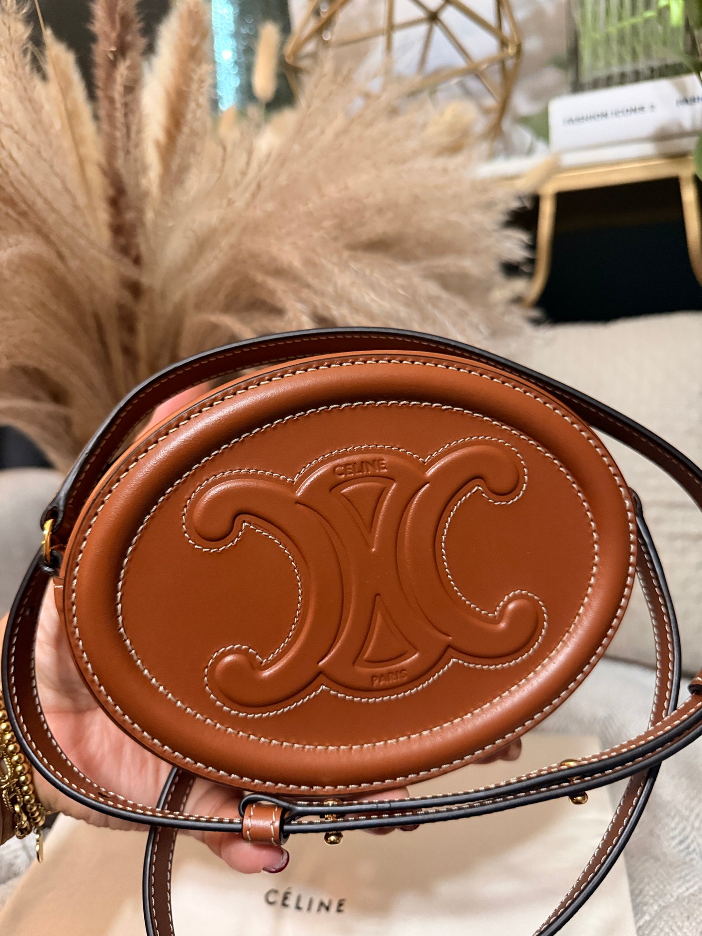 Celine Oval Triomphe Bag in Calfskin