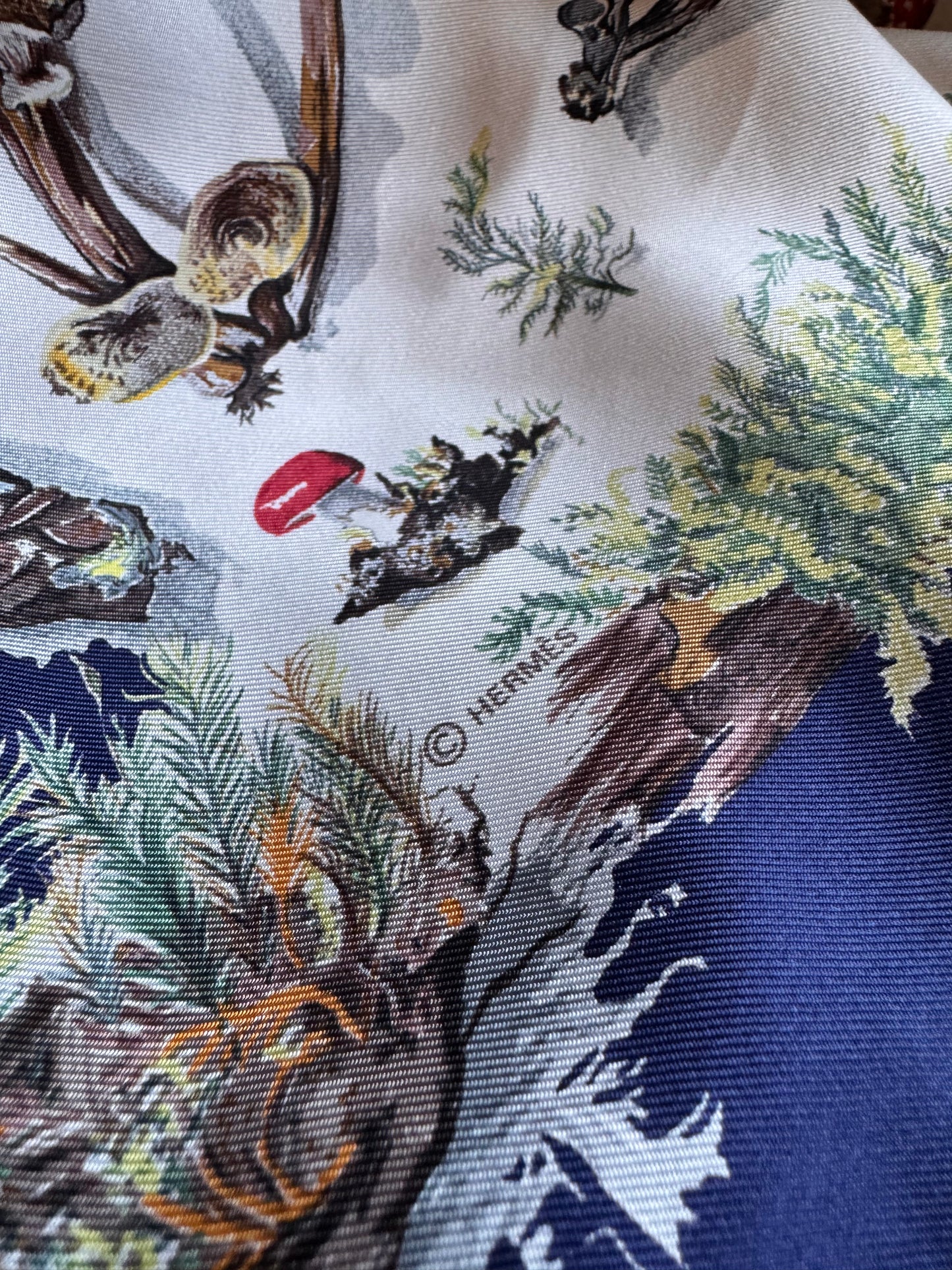 Hermes Champignons Silk Scarf