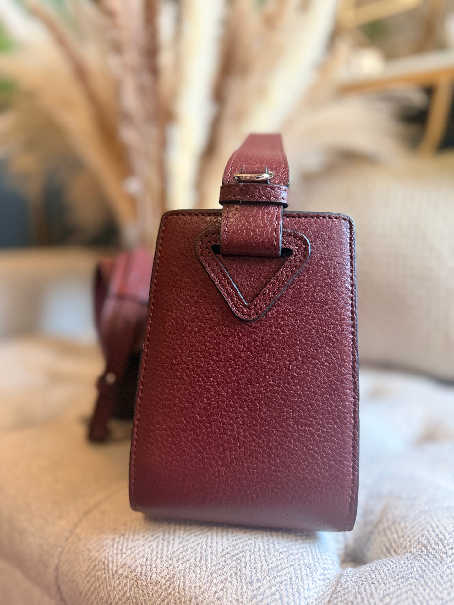 The Horse Clementine in Burgundy