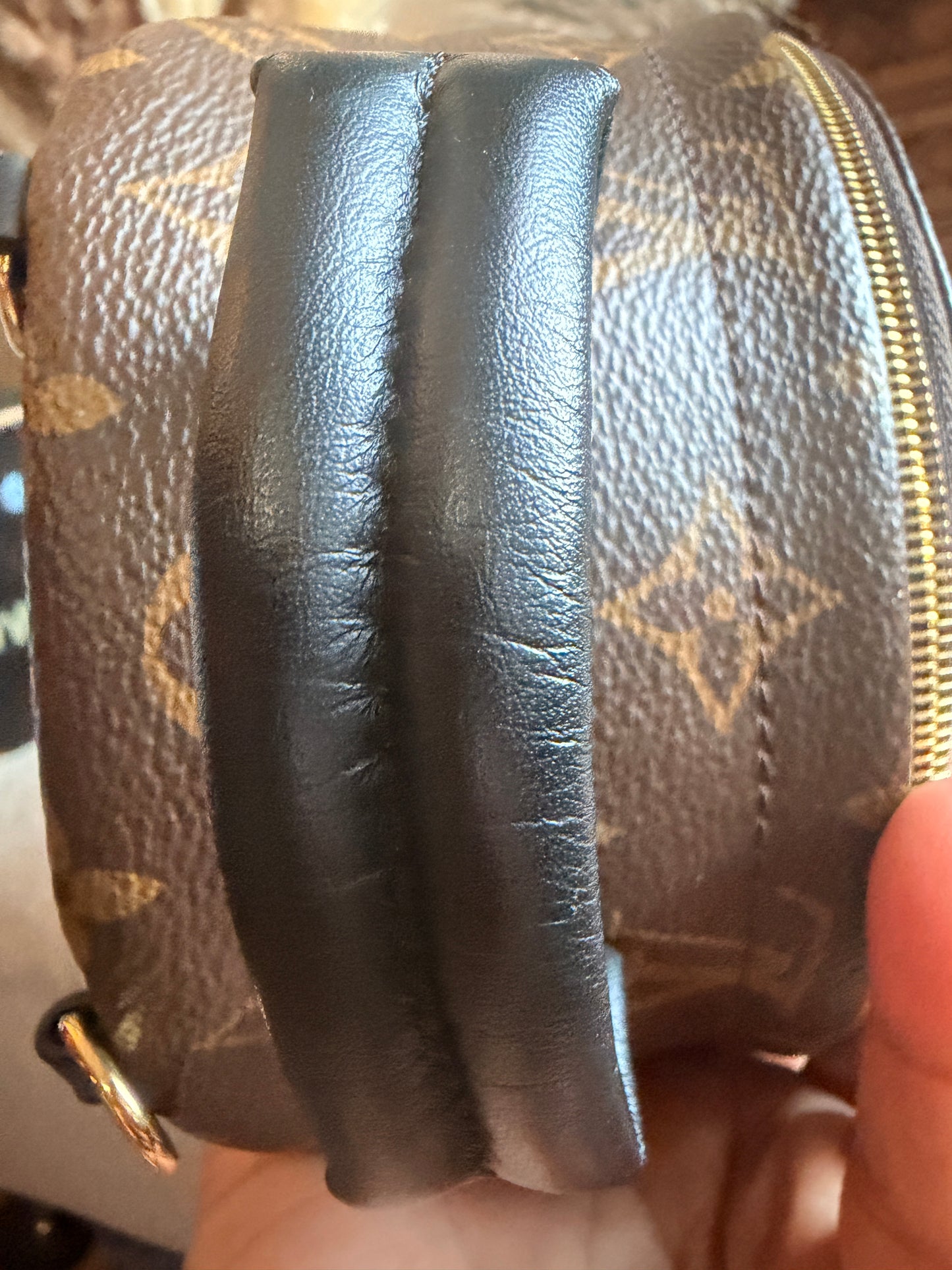 Louis Vuitton Palm Springs Mini-New Version