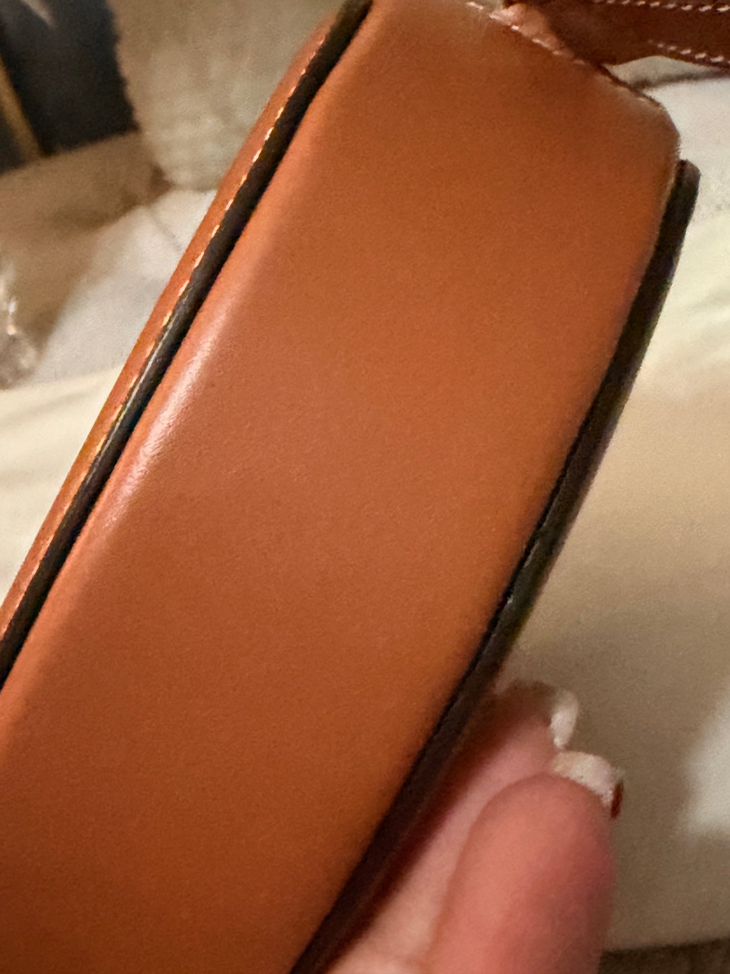 Celine Oval Triomphe Bag in Calfskin