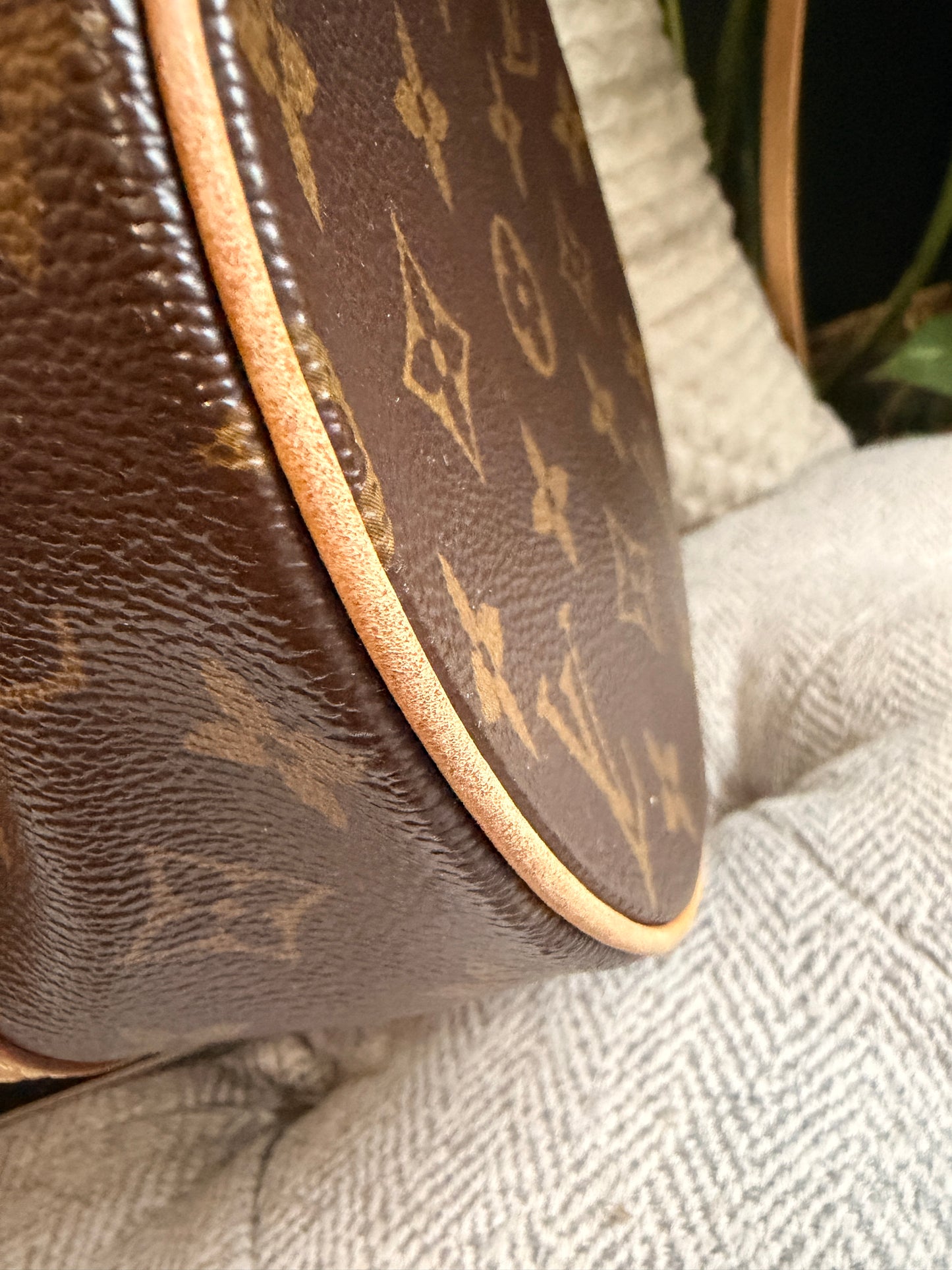 Louis Vuitton Vintage Papillon 30