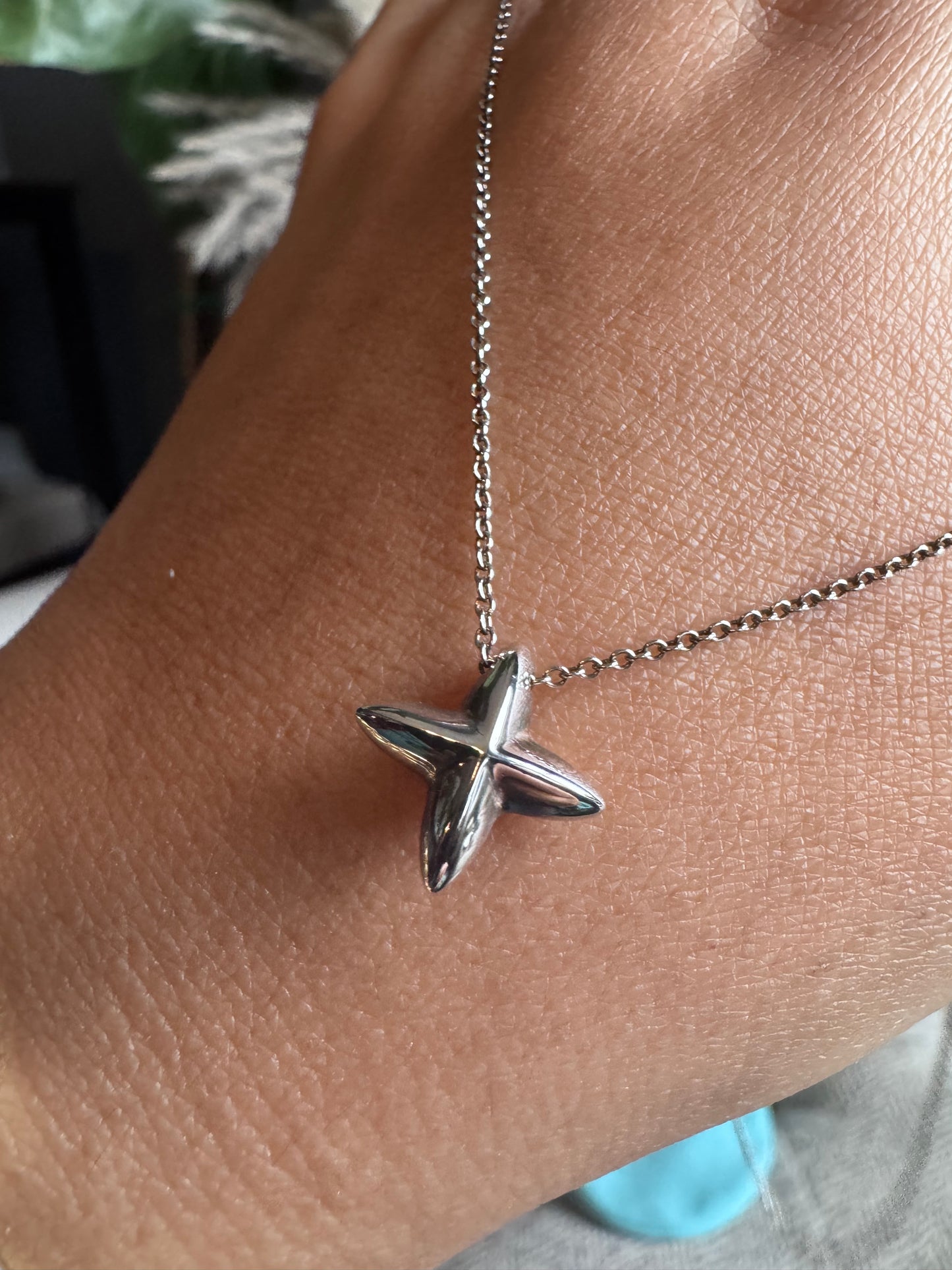 Tiffany&Co Elsa Peretti Sirius Star Necklace