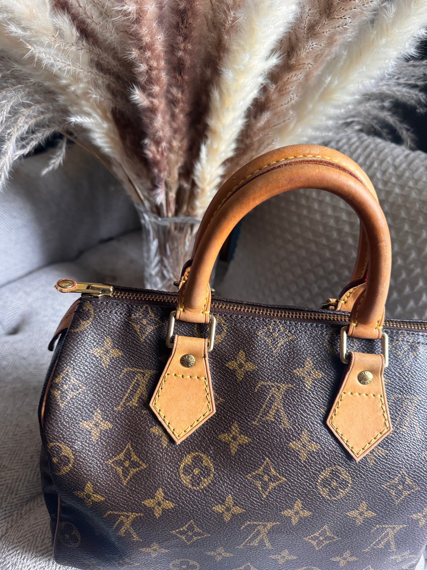 Louis Vuitton Vintage Speedy 25