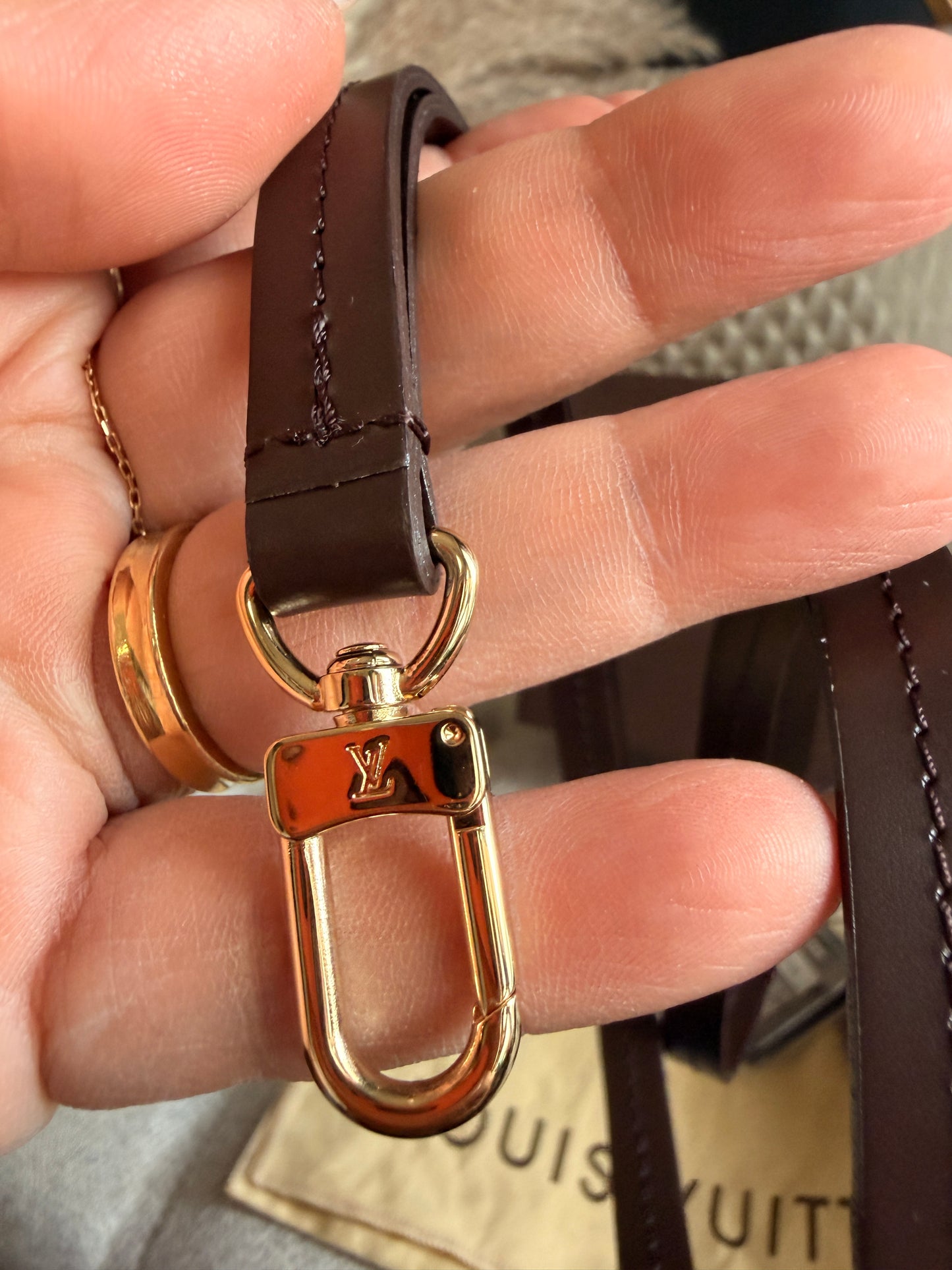 Louis Vuitton Etui Okapi PM Pouch, Rare & HTF