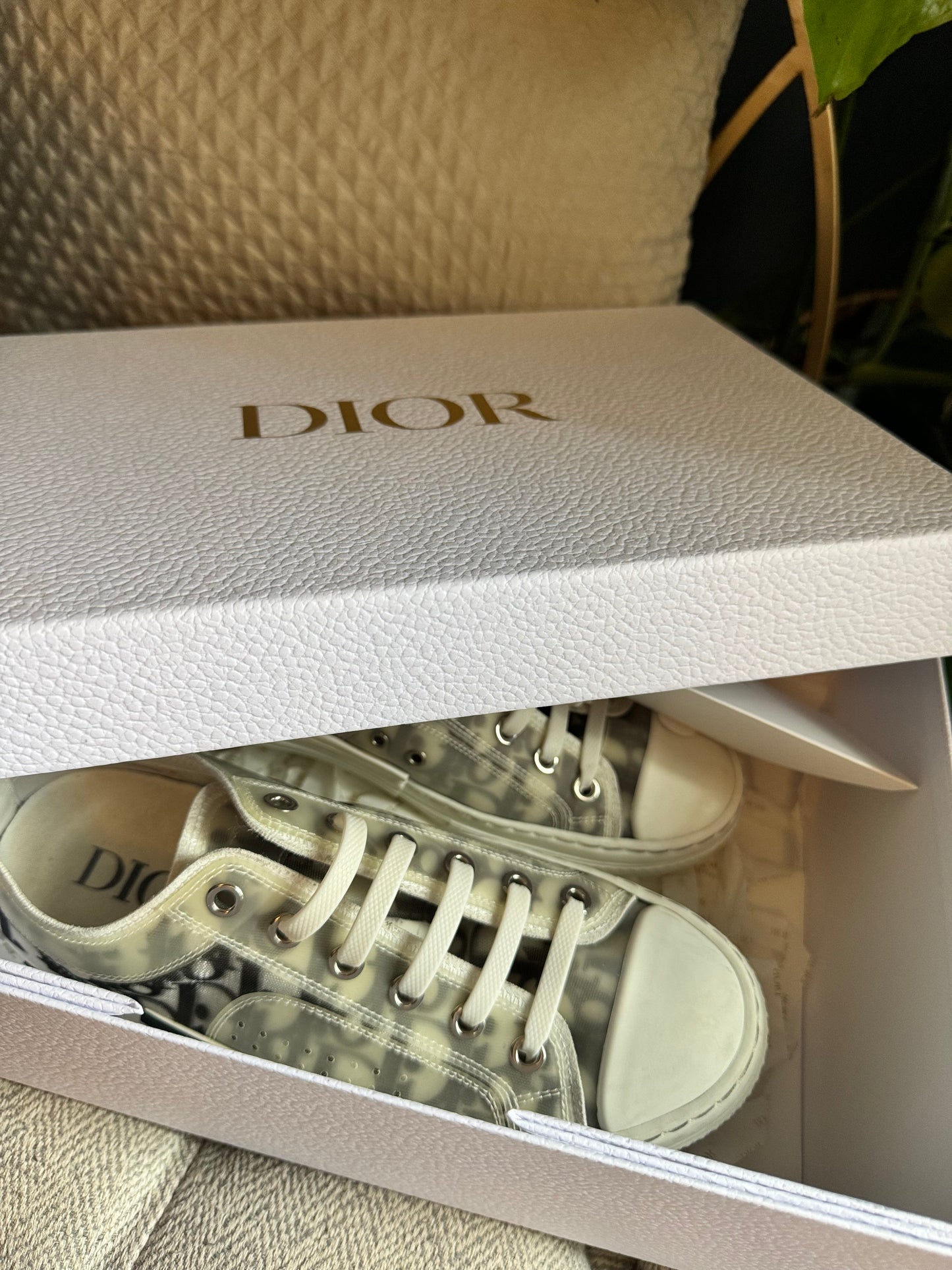 Dior Low-Top B23 Sneakers