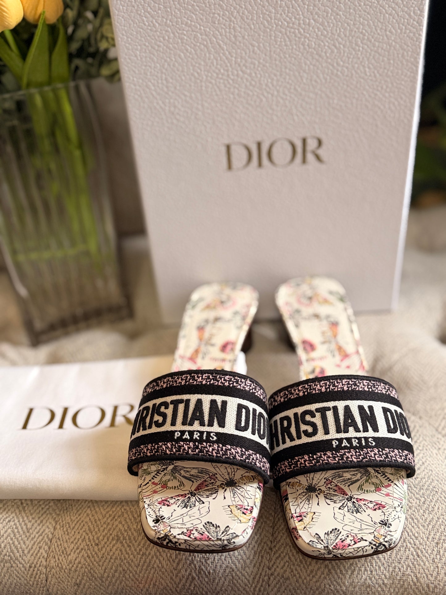 Dior Sandals/Heeled Slides