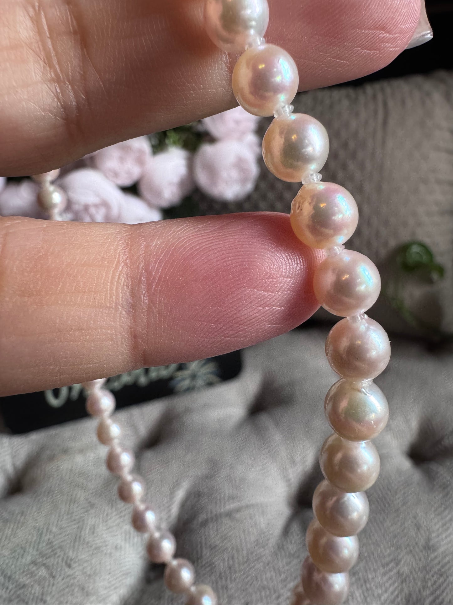 Akoya Pearl Necklace