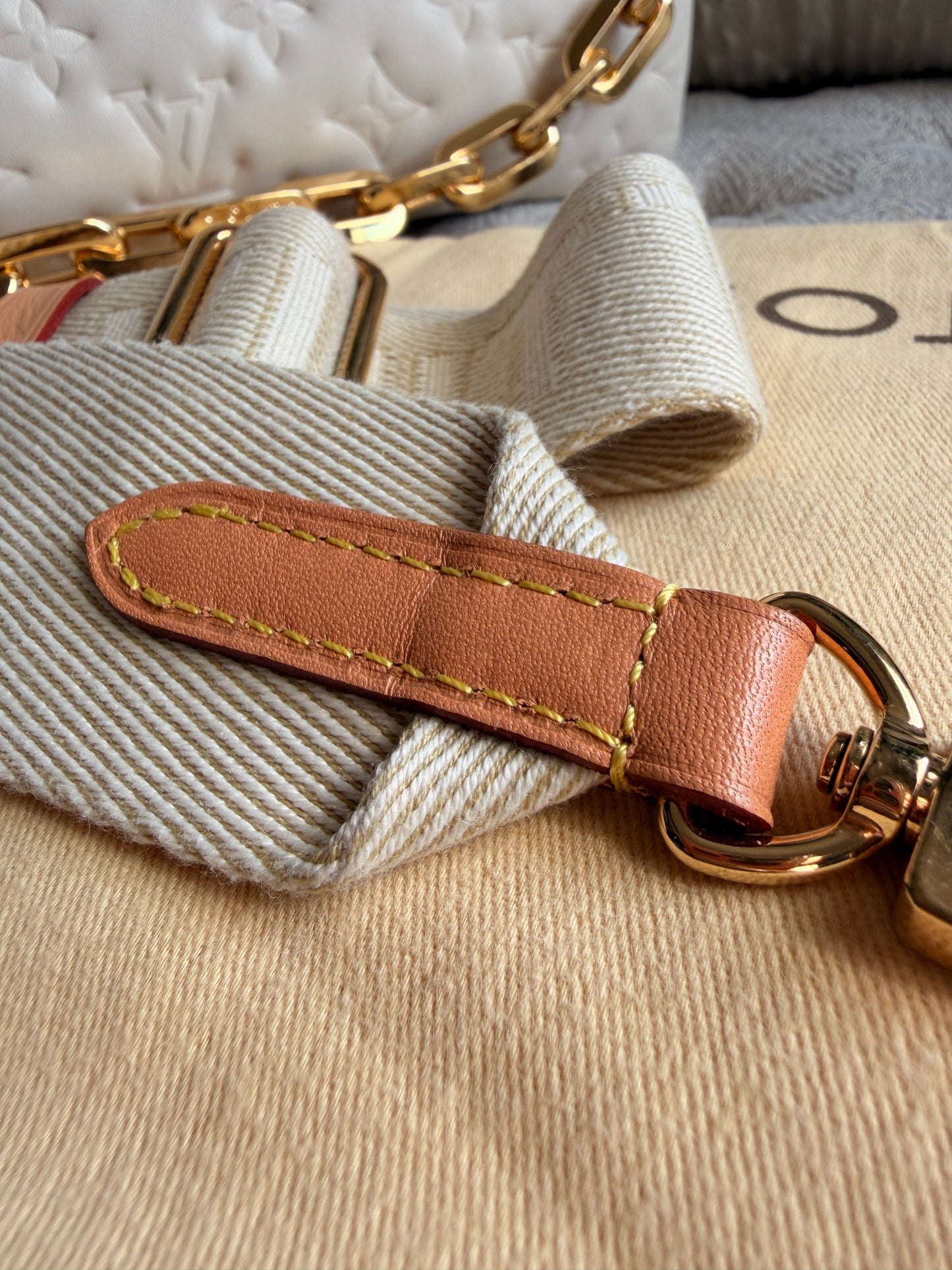 Louis Vuitton Coussin PM