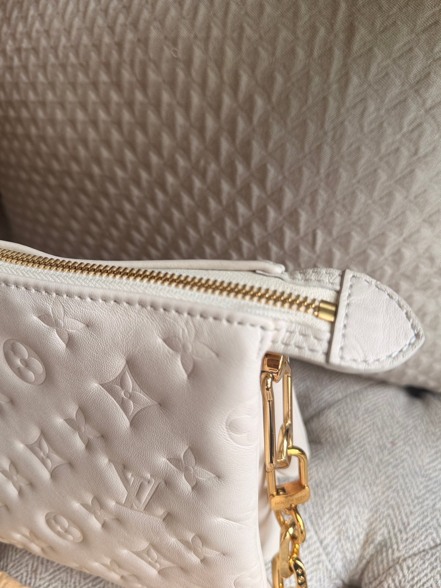Louis Vuitton Coussin PM