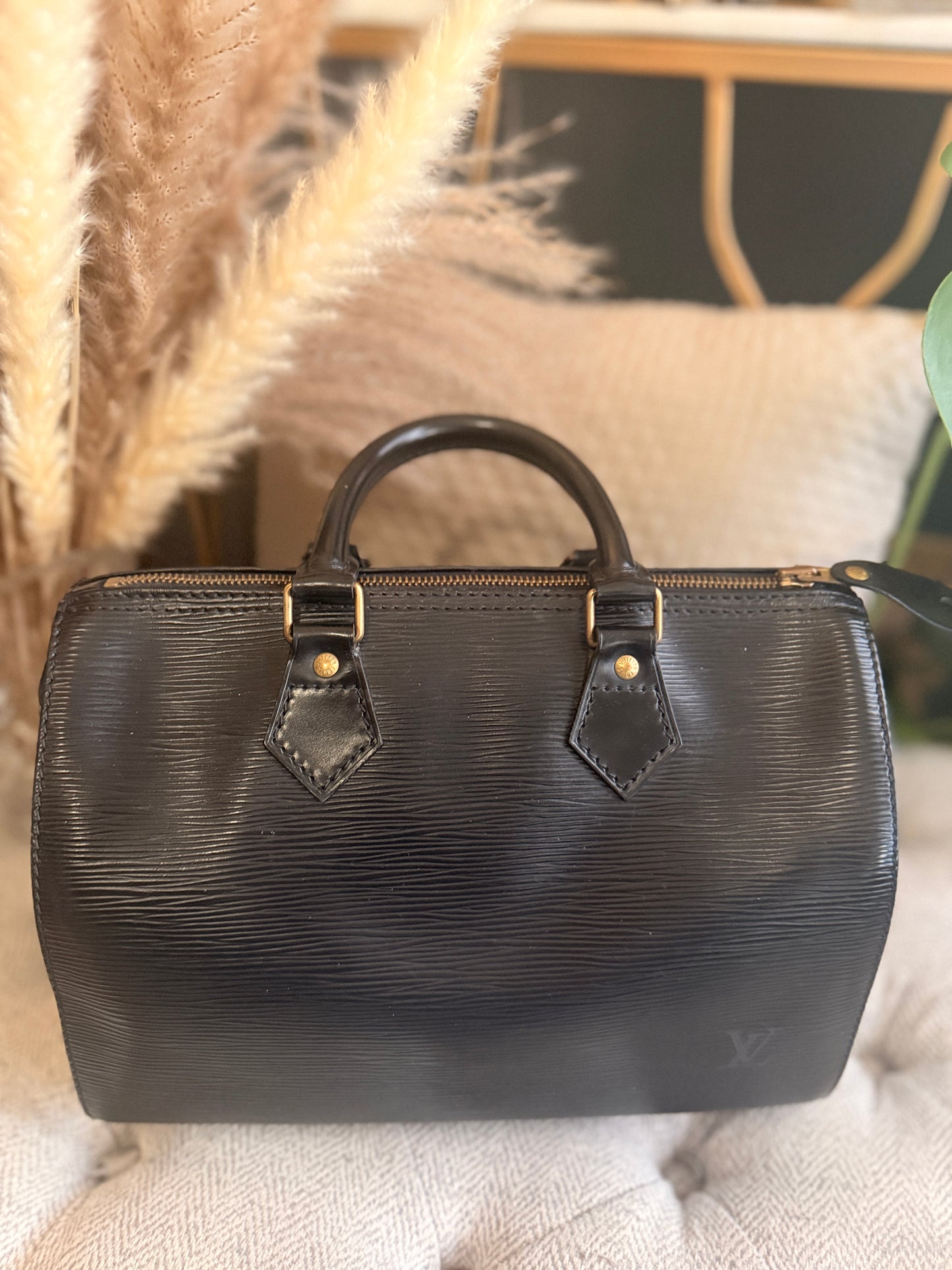 Louis Vuitton Speedy 25 in Epi Noir