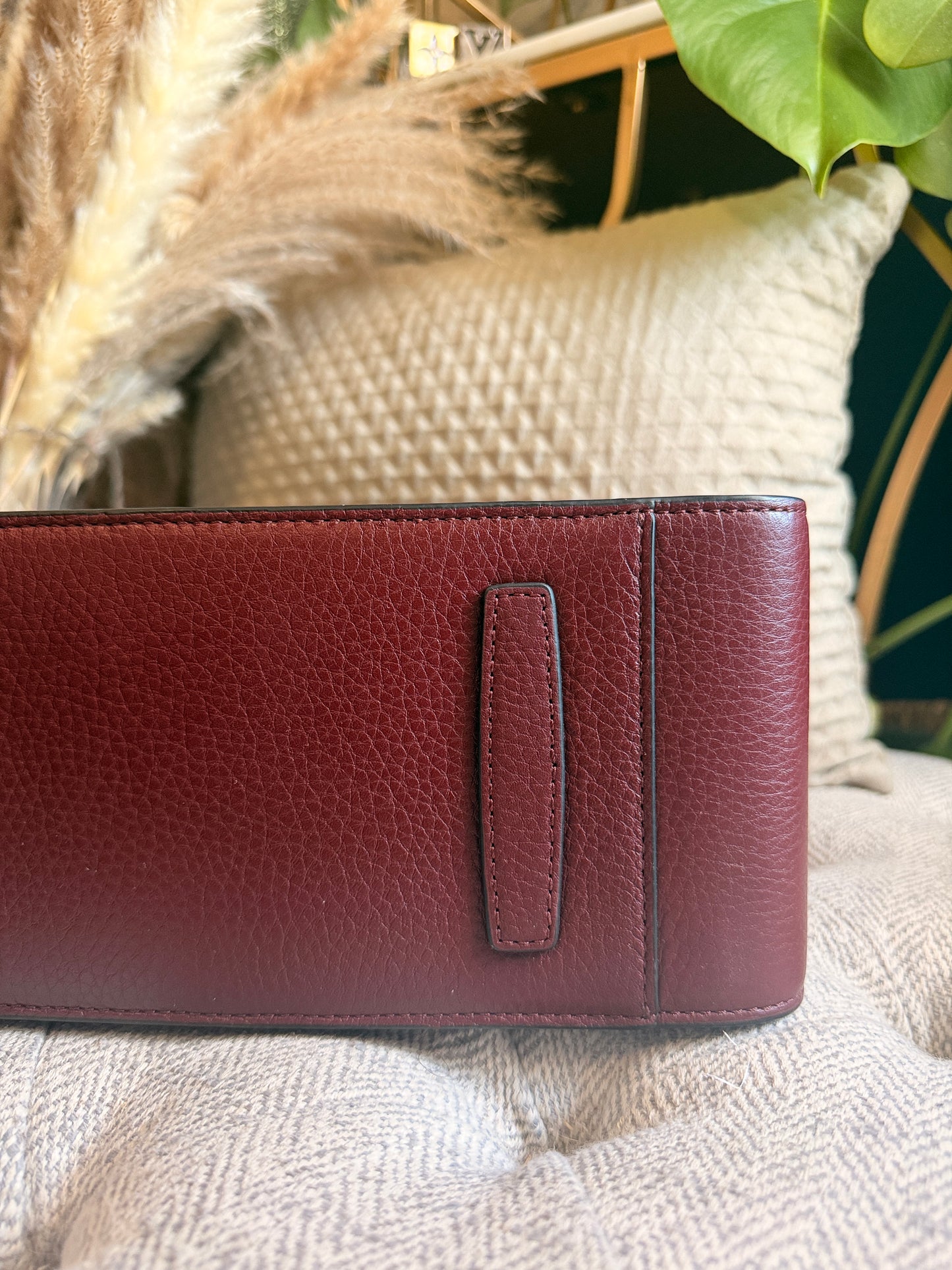 The Horse Clementine in Burgundy