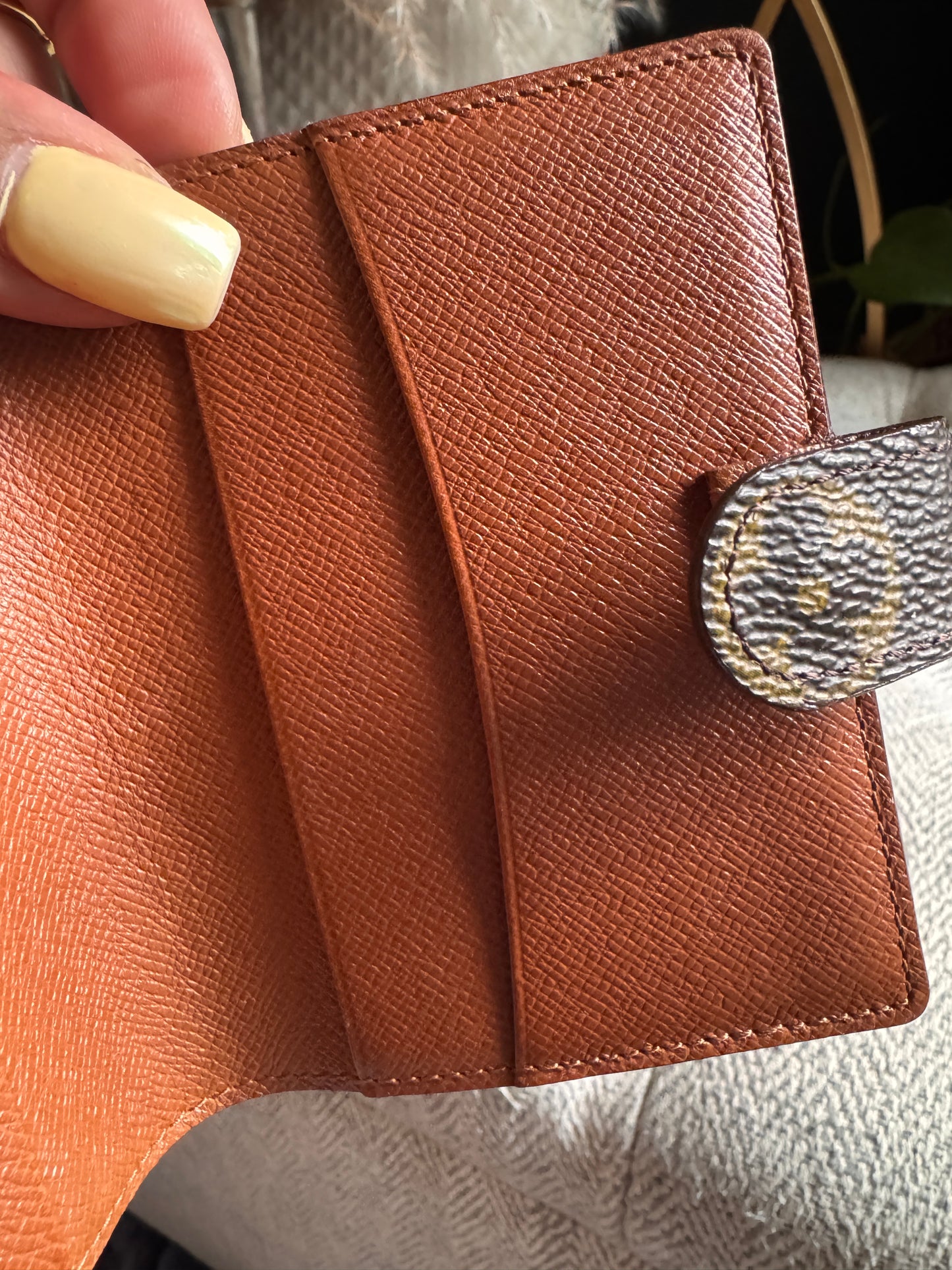 Louis Vuitton Cardholder in Monogram