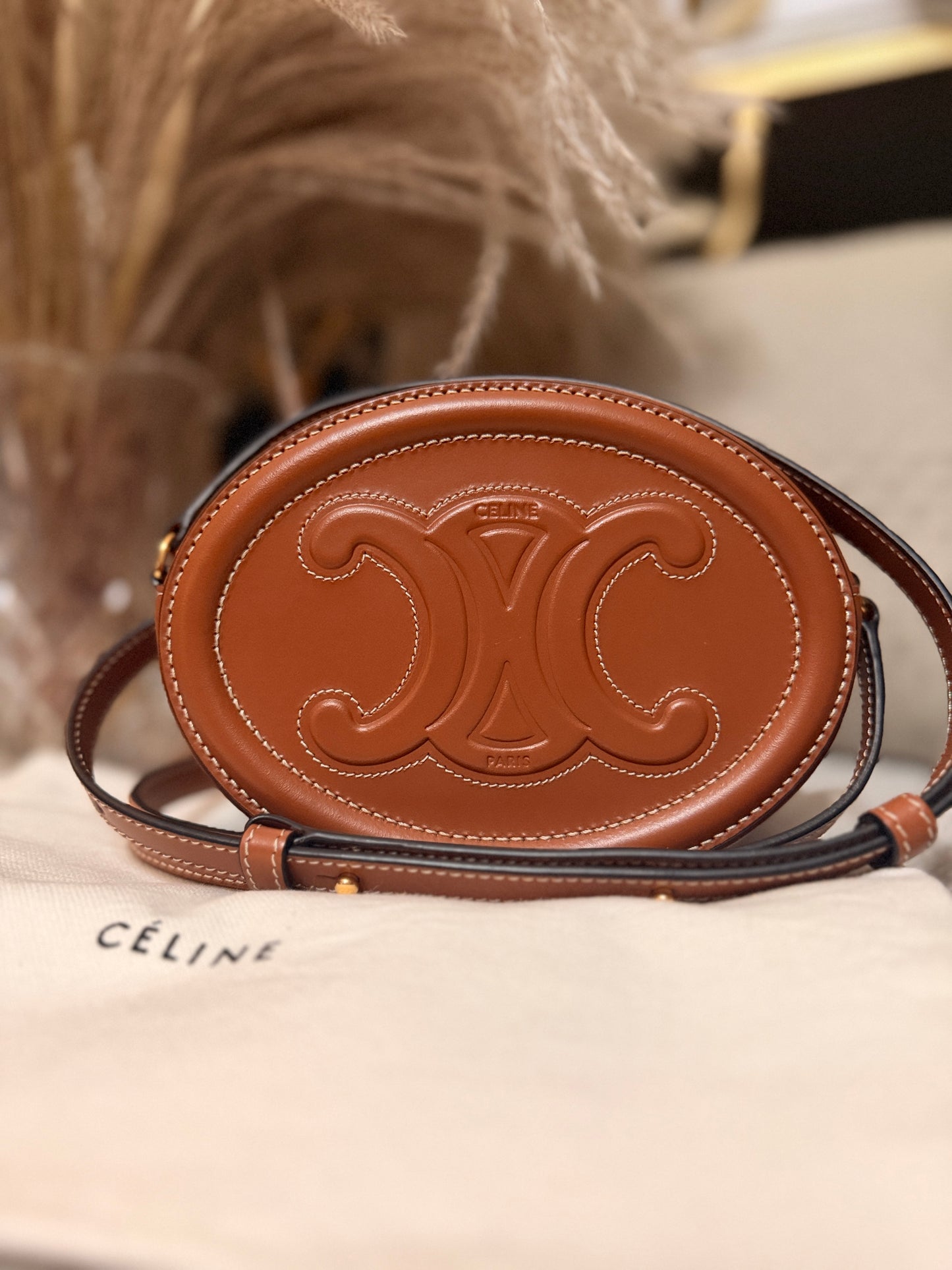 Celine Oval Triomphe Bag in Calfskin