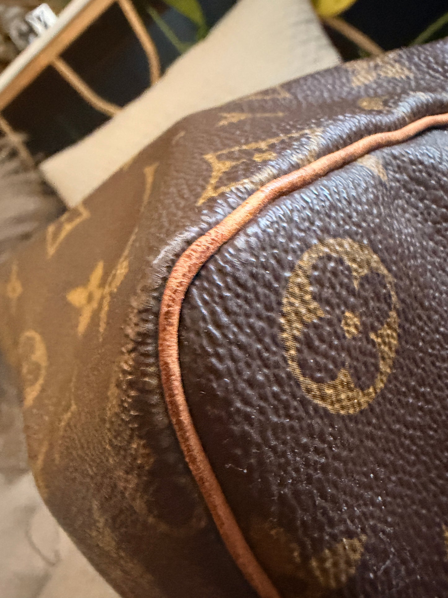 Louis Vuitton Speedy 40 in Monogram