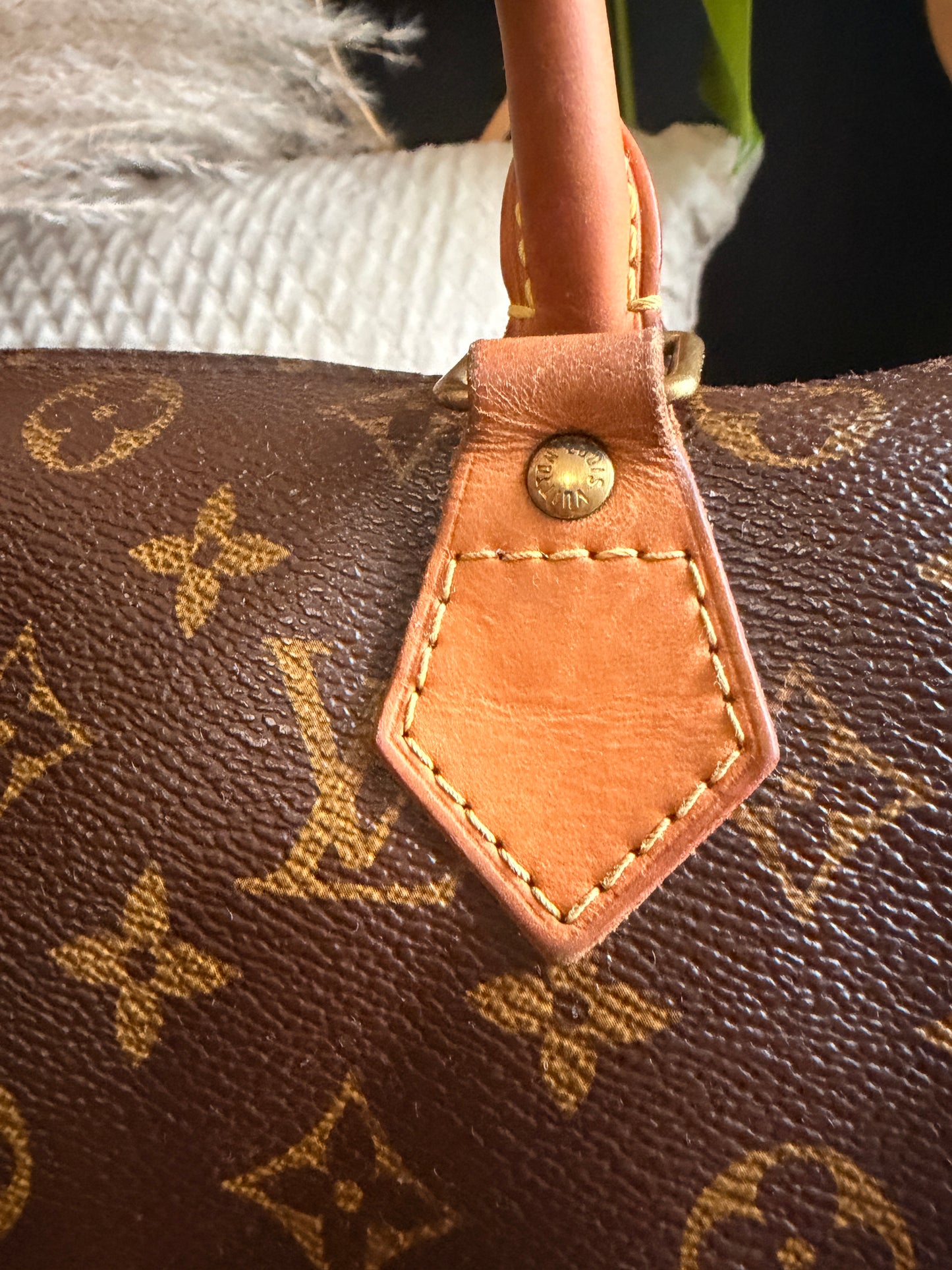 Louis Vuitton Speedy B30 in Monogram
