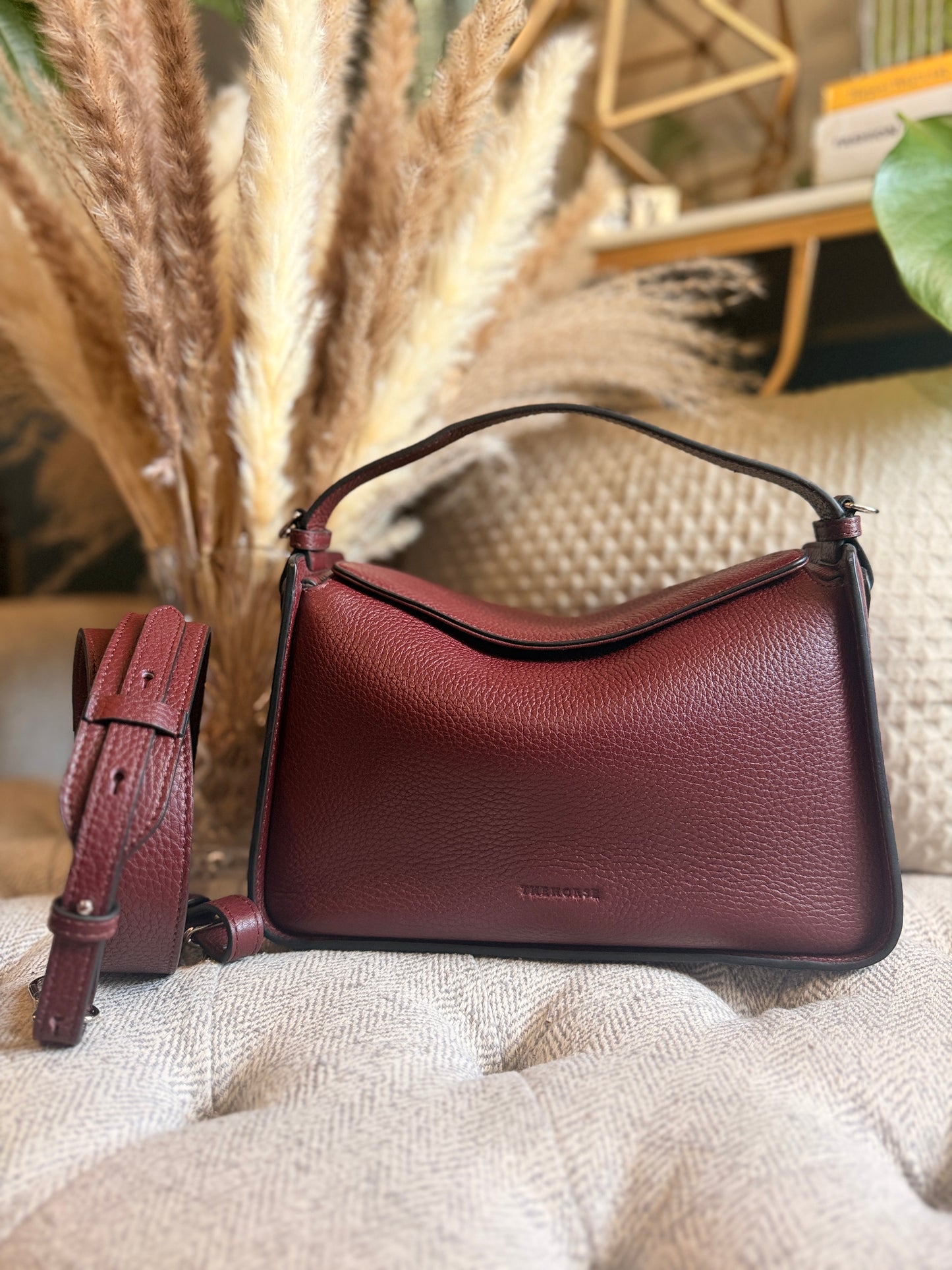 The Horse Clementine in Burgundy