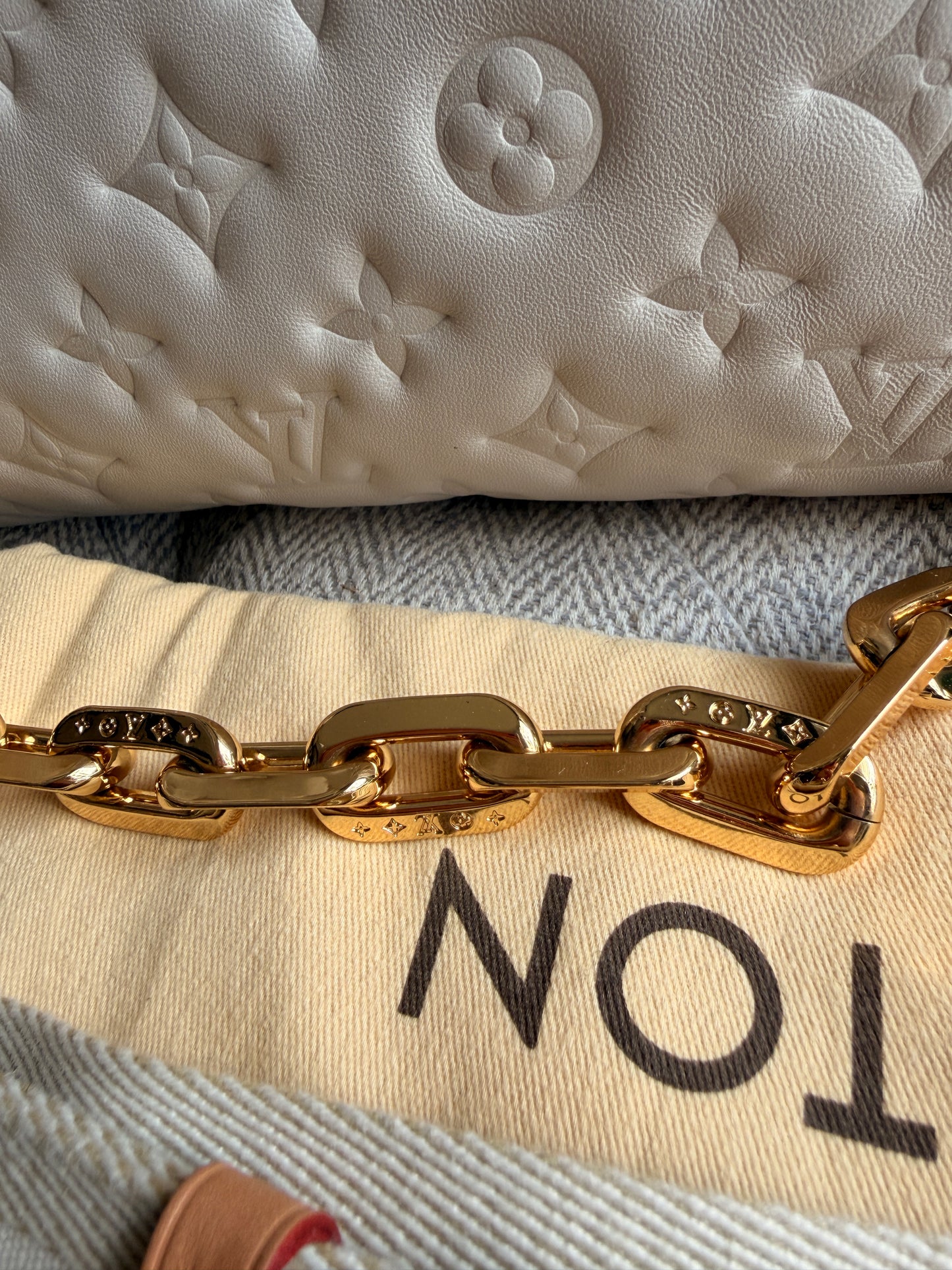 Louis Vuitton Coussin PM