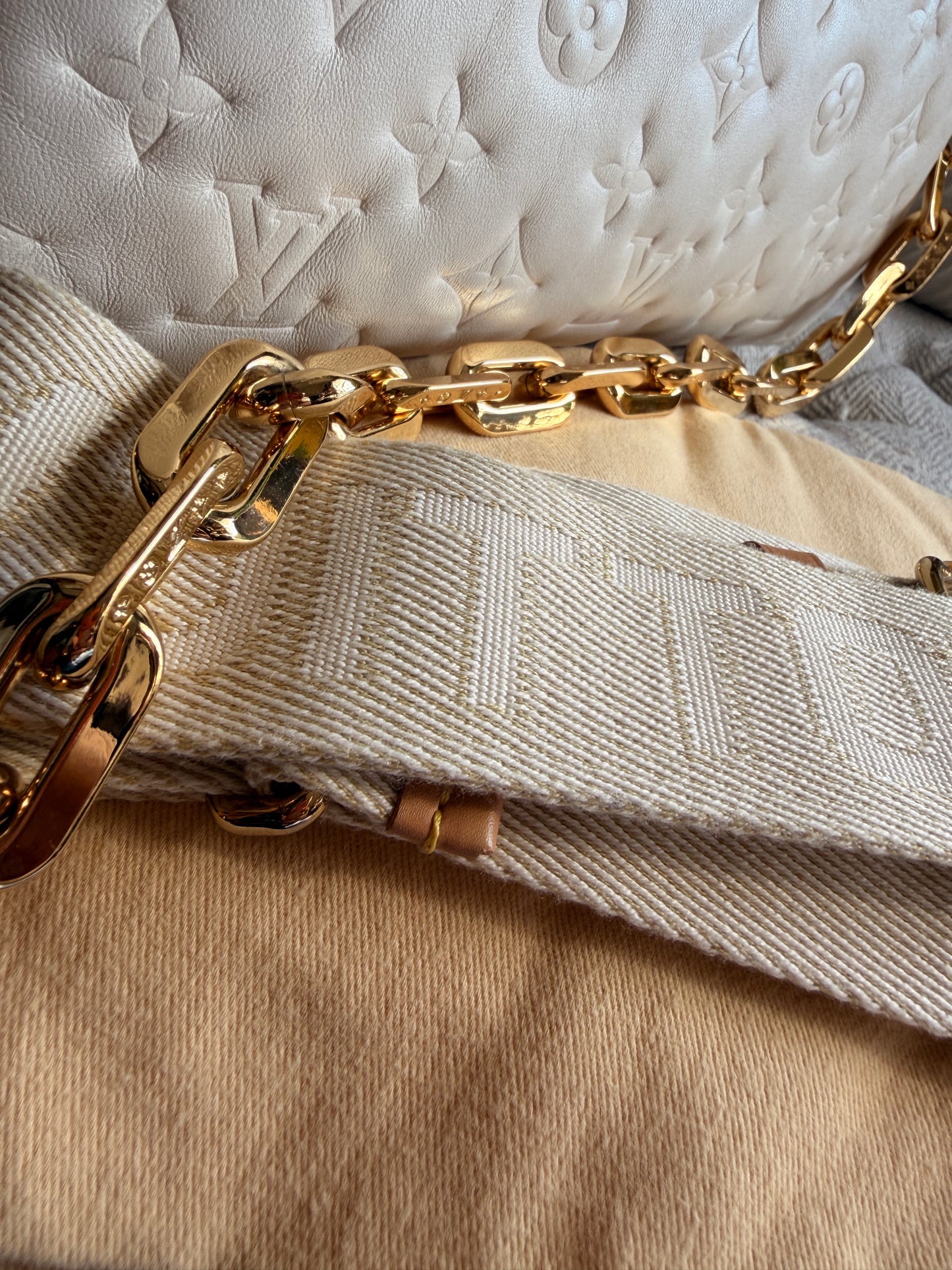 Louis Vuitton Coussin PM