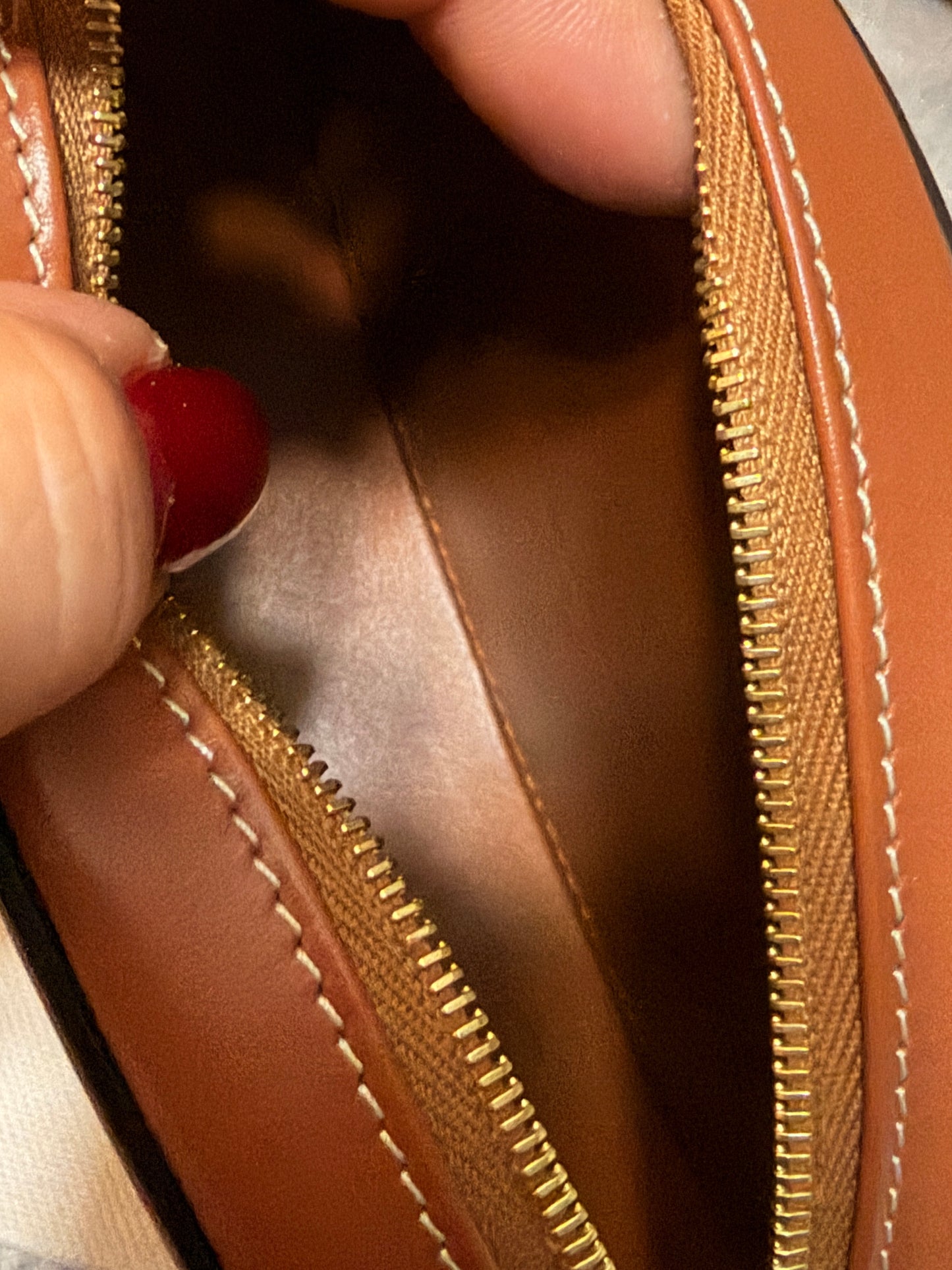 Celine Oval Triomphe Bag in Calfskin