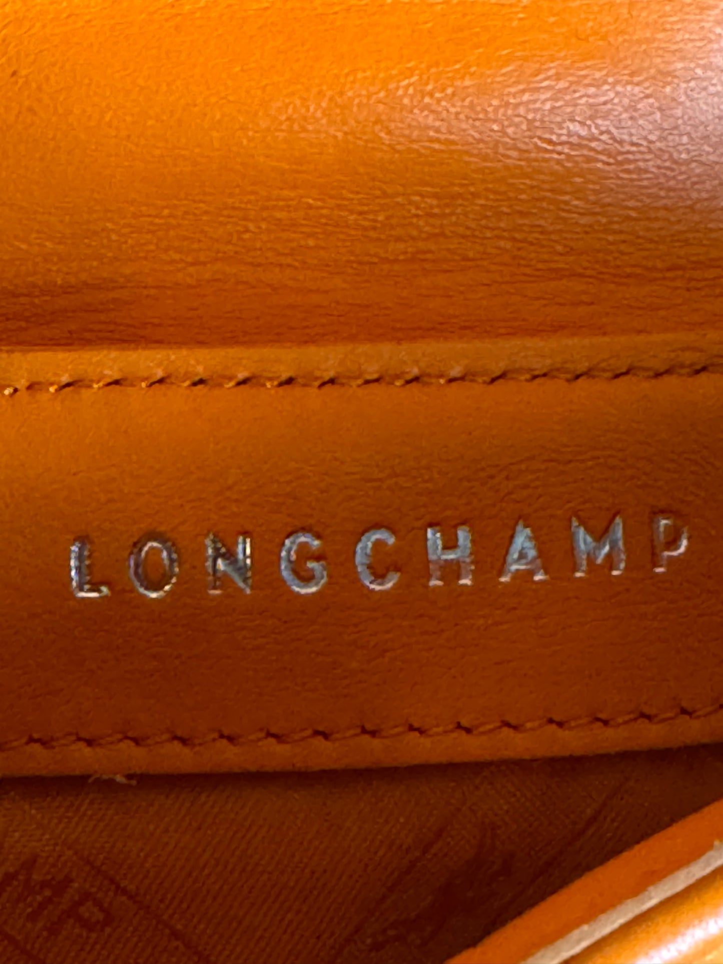 Longchamp Amazone