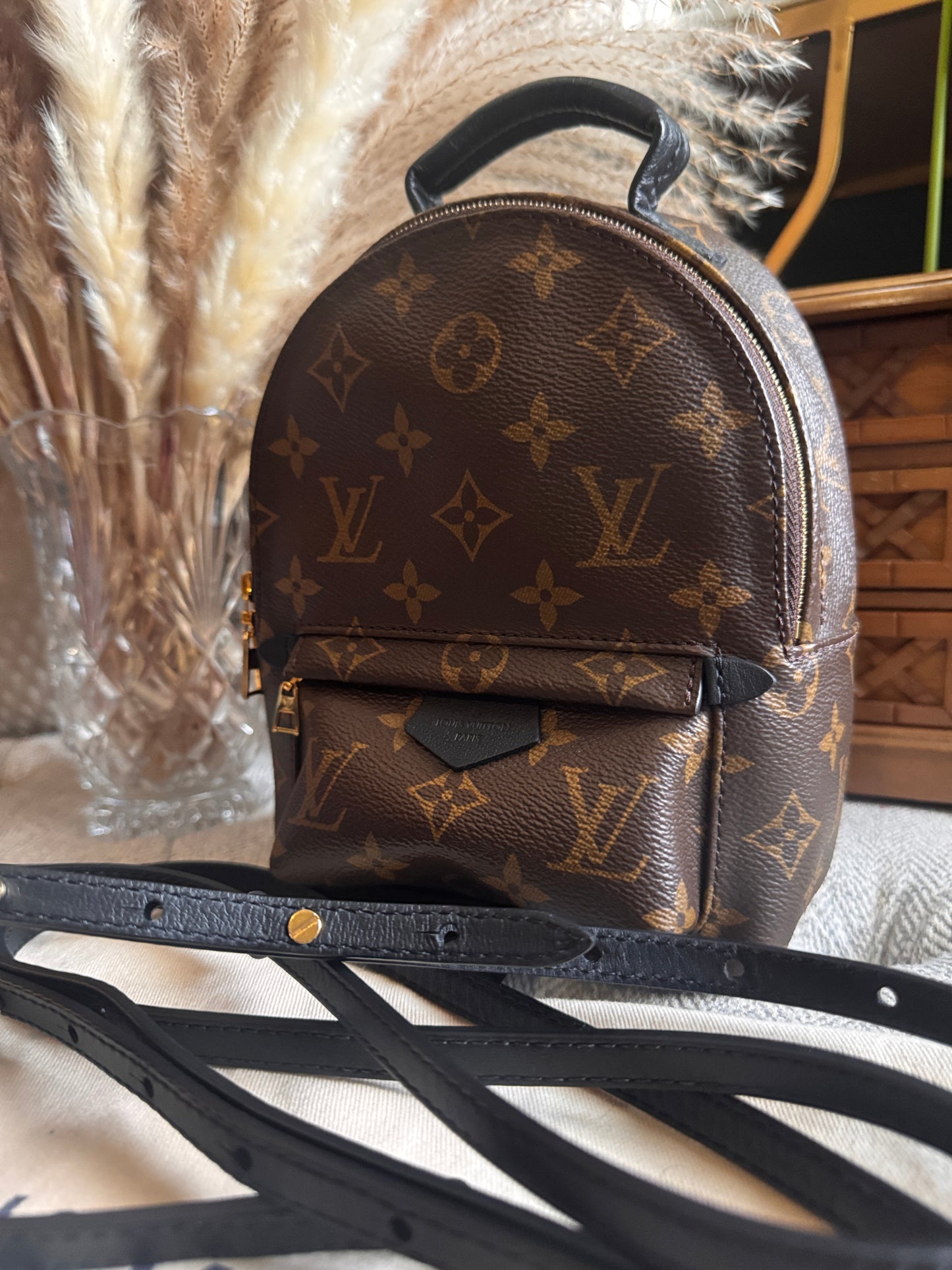 Louis Vuitton Palm Springs Mini-New Version