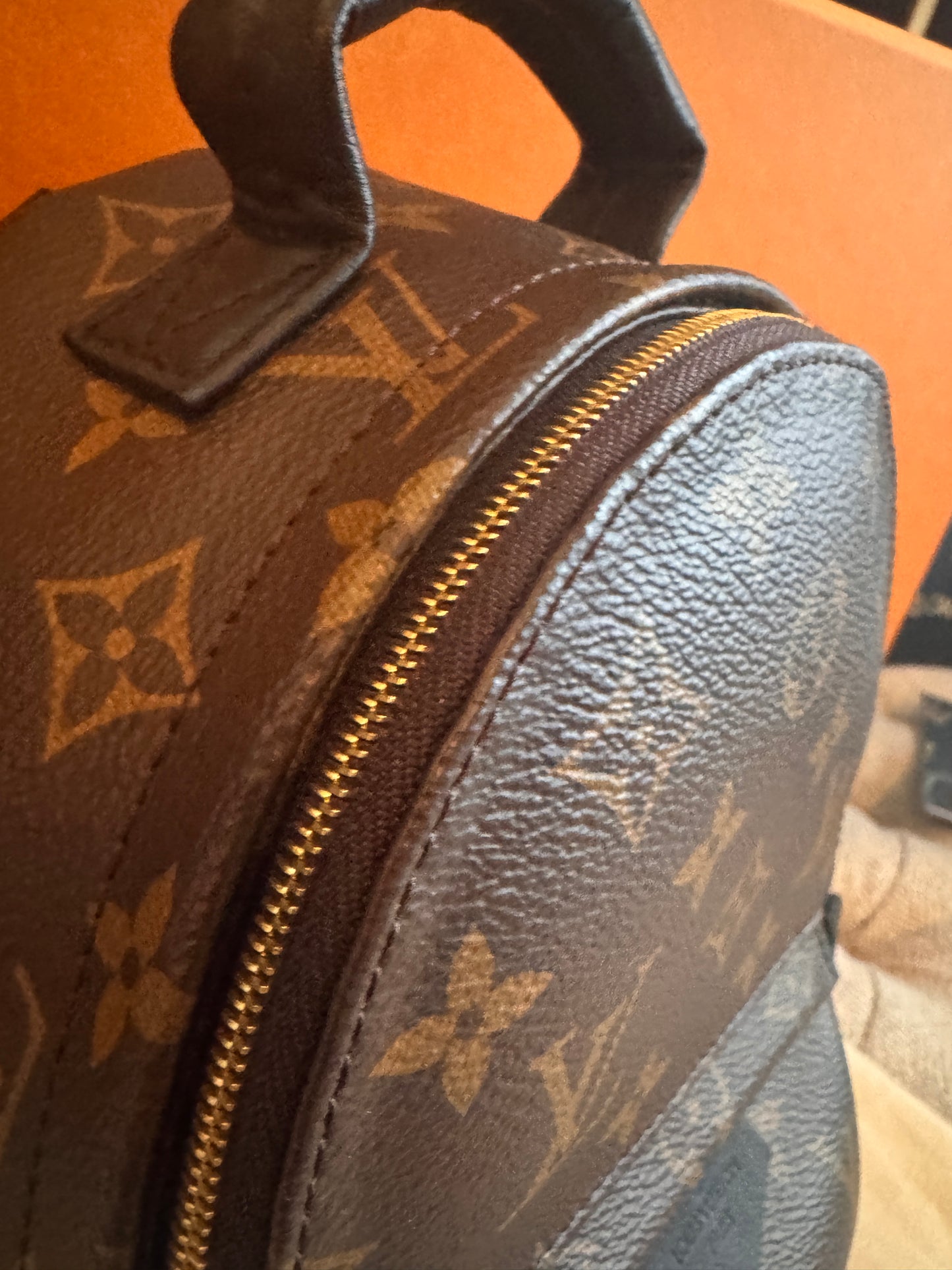 Louis Vuitton Mini Palm Springs-New Model with exposed zip Microchipped