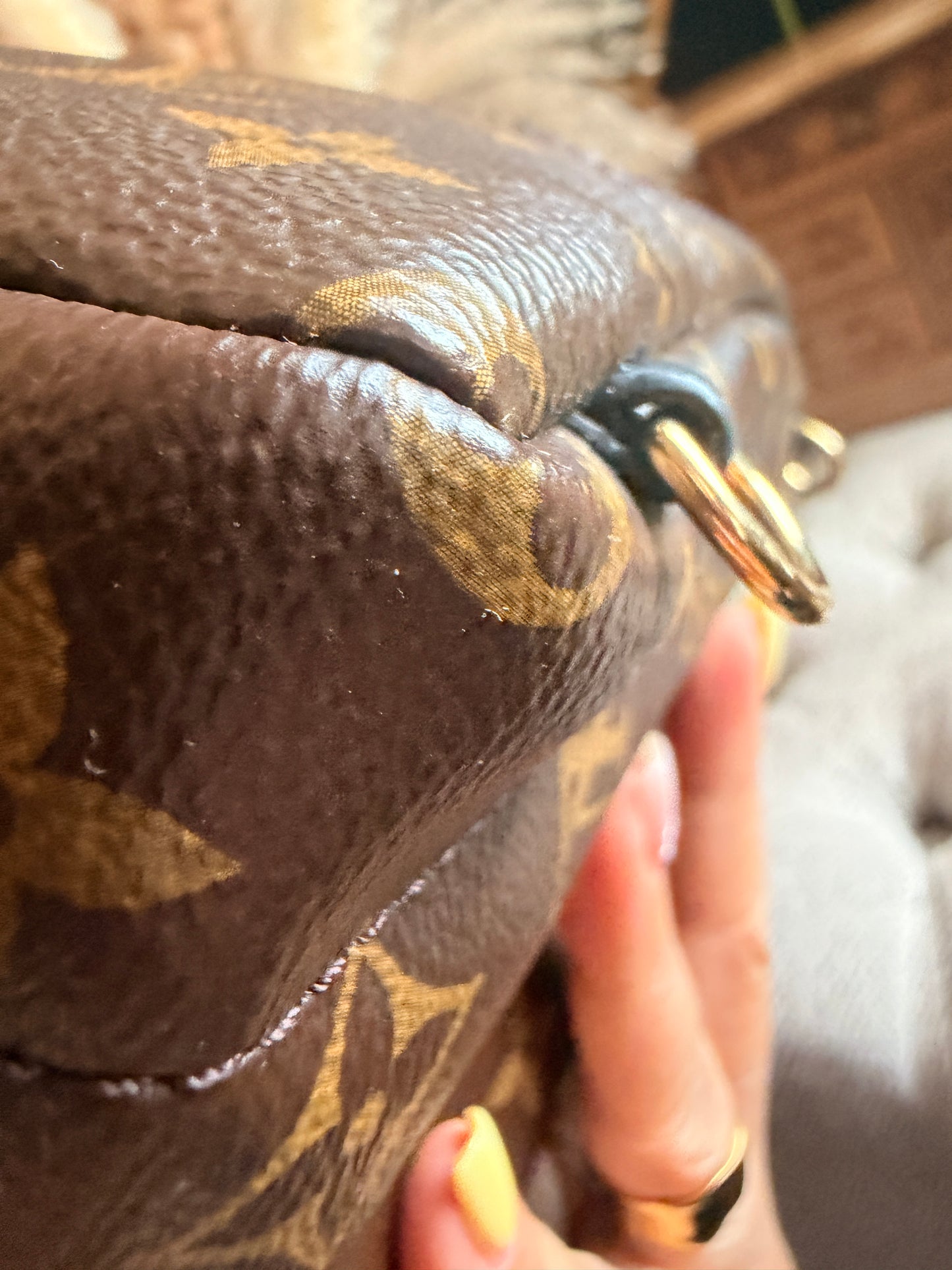 Louis Vuitton Palm Springs Mini-New Version