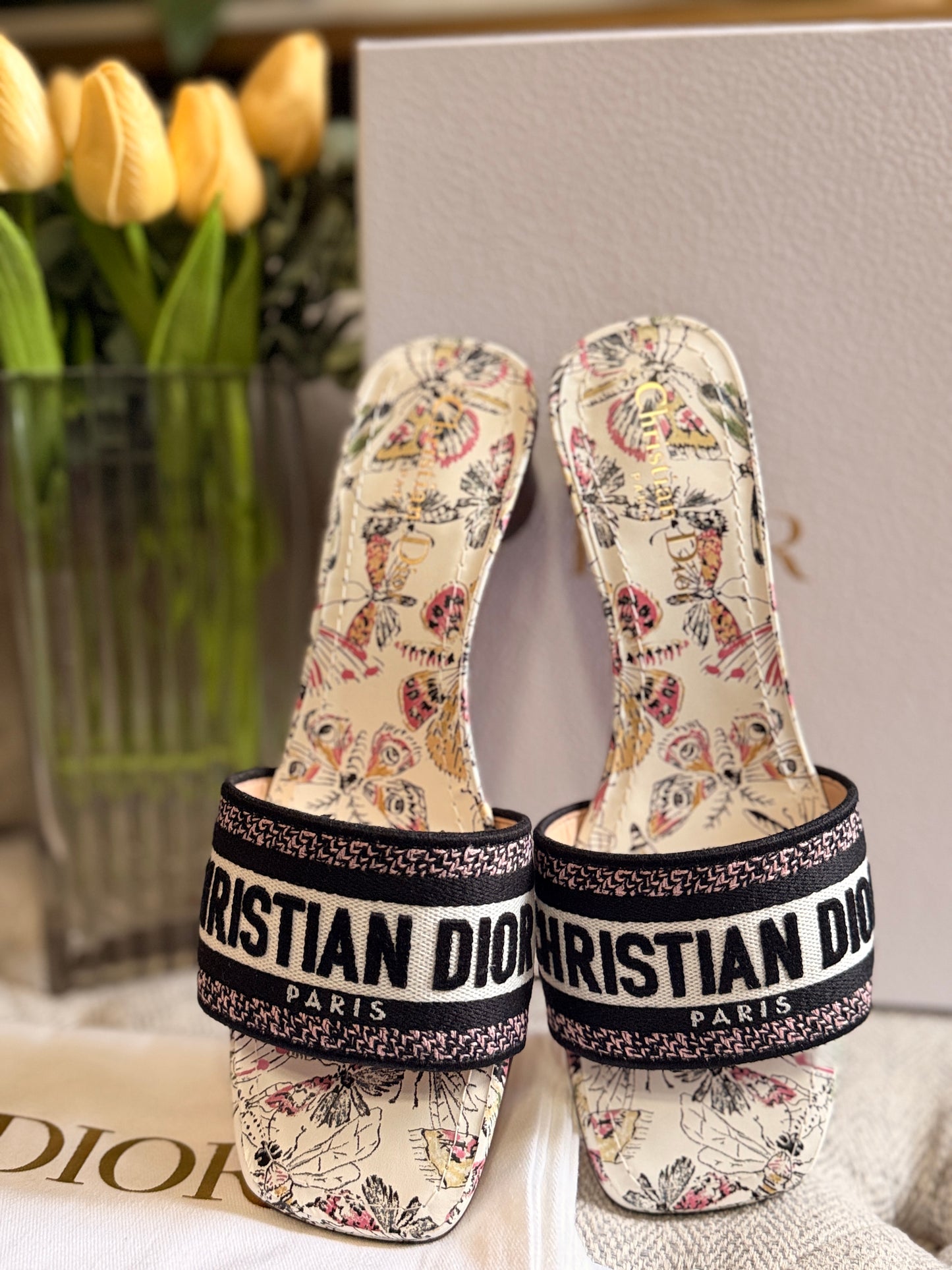 Dior Sandals/Heeled Slides