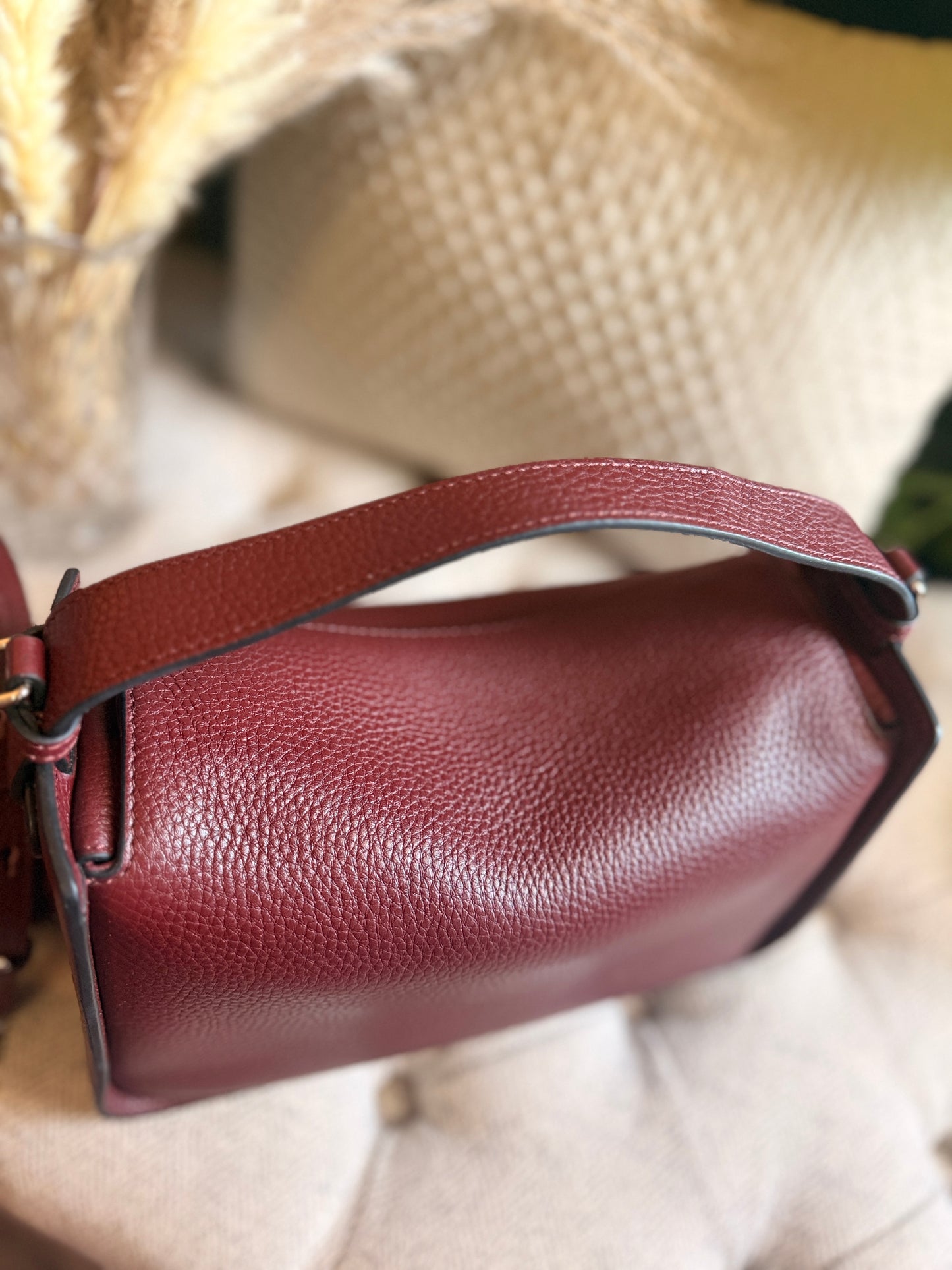 The Horse Clementine in Burgundy